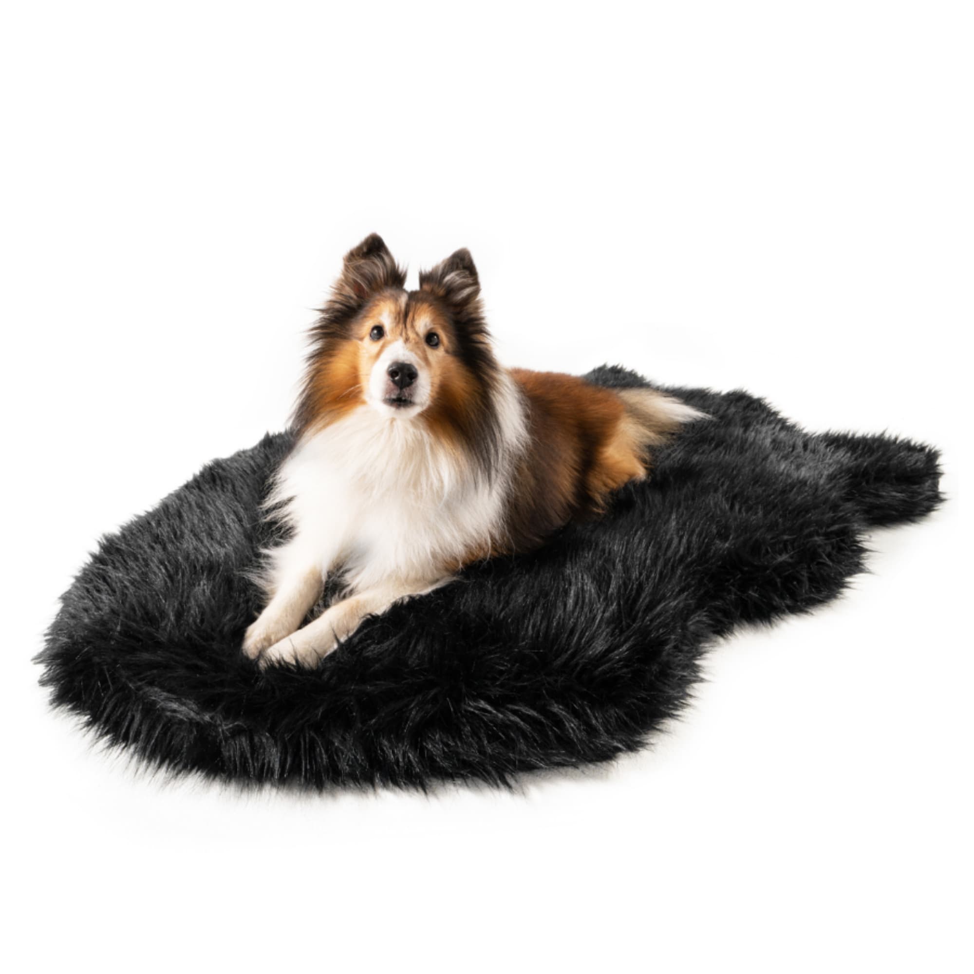 The puprug best sale