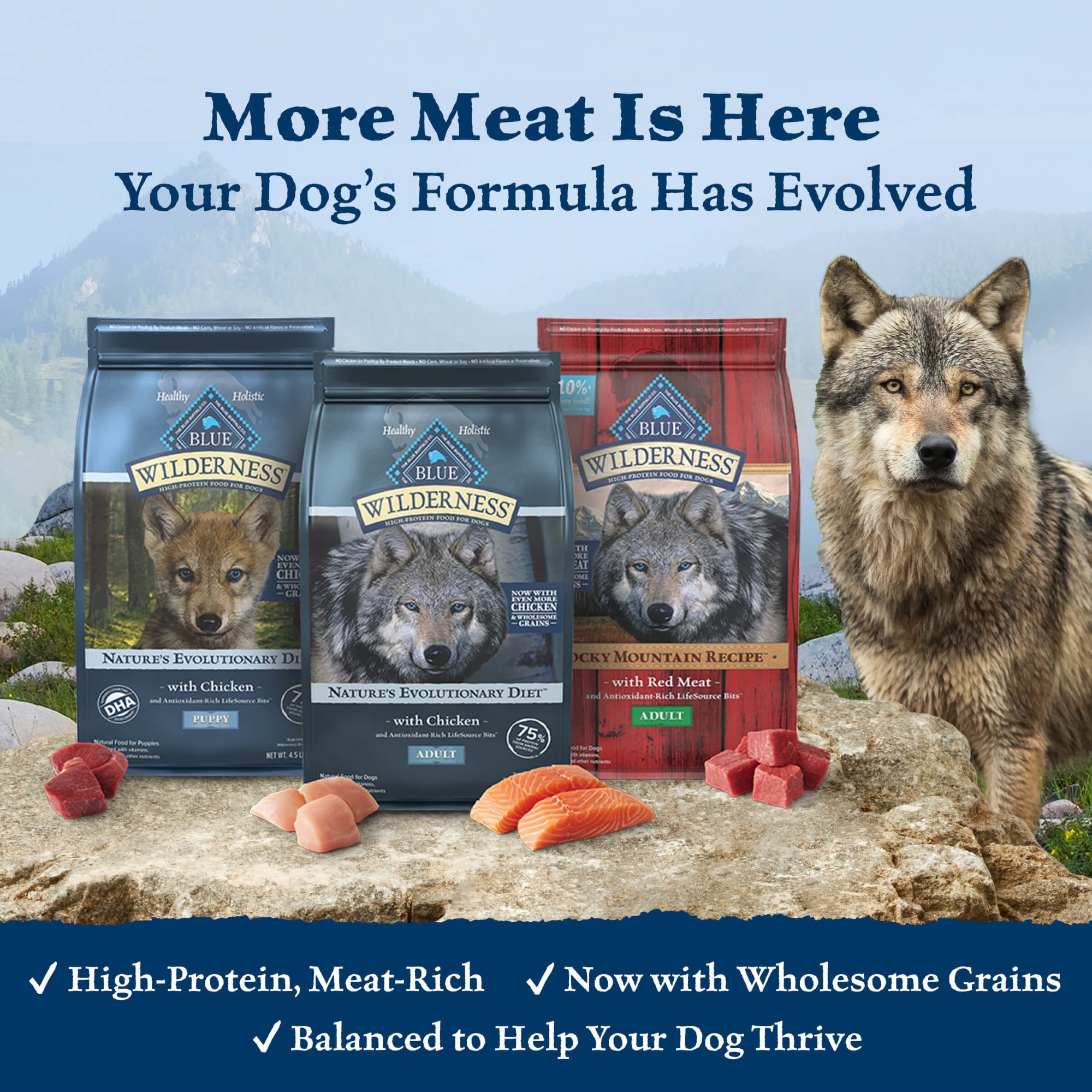 Blue Buffalo Blue Wilderness Plus Wholesome Grains Natural Adult