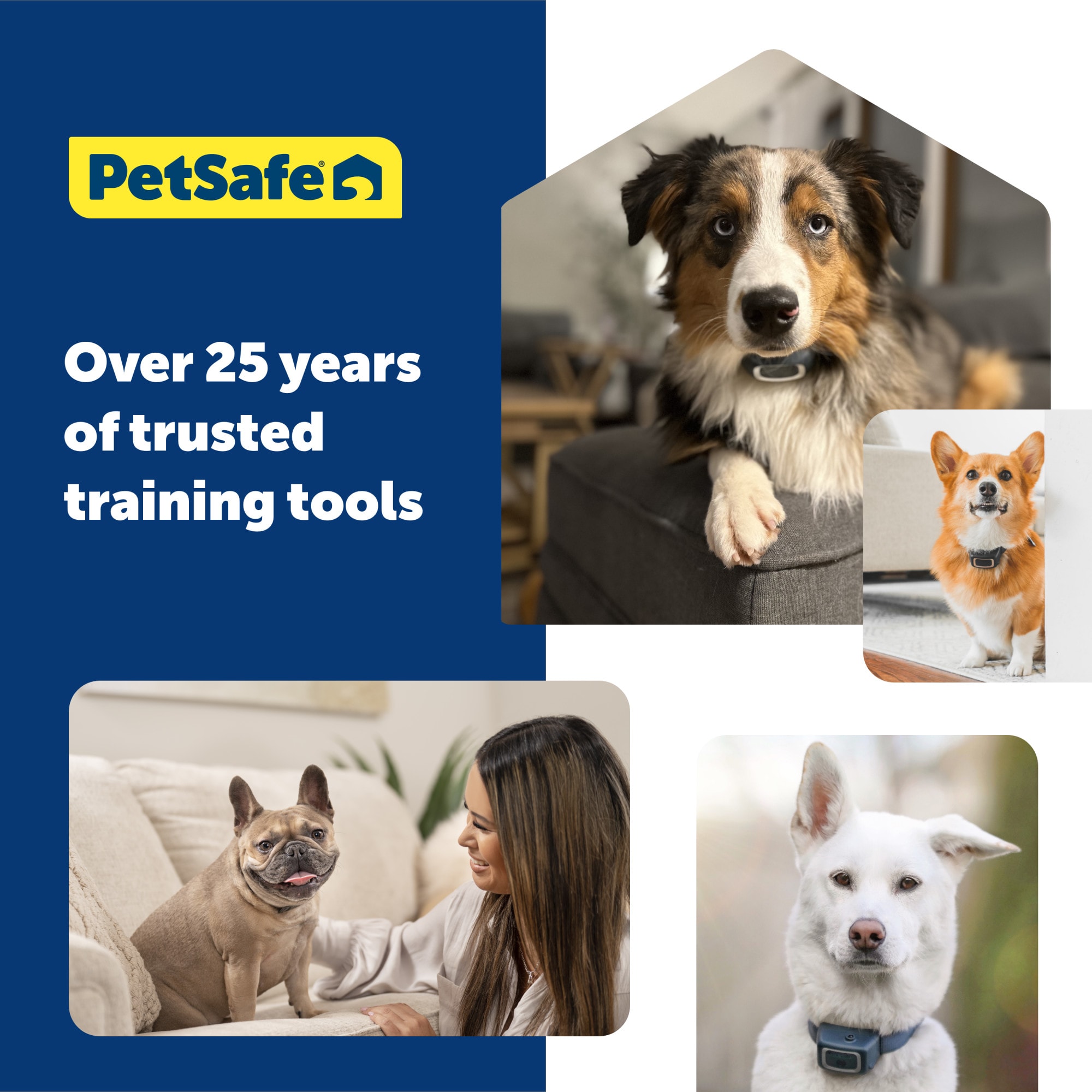 Petsafe vibration bark control collar best sale