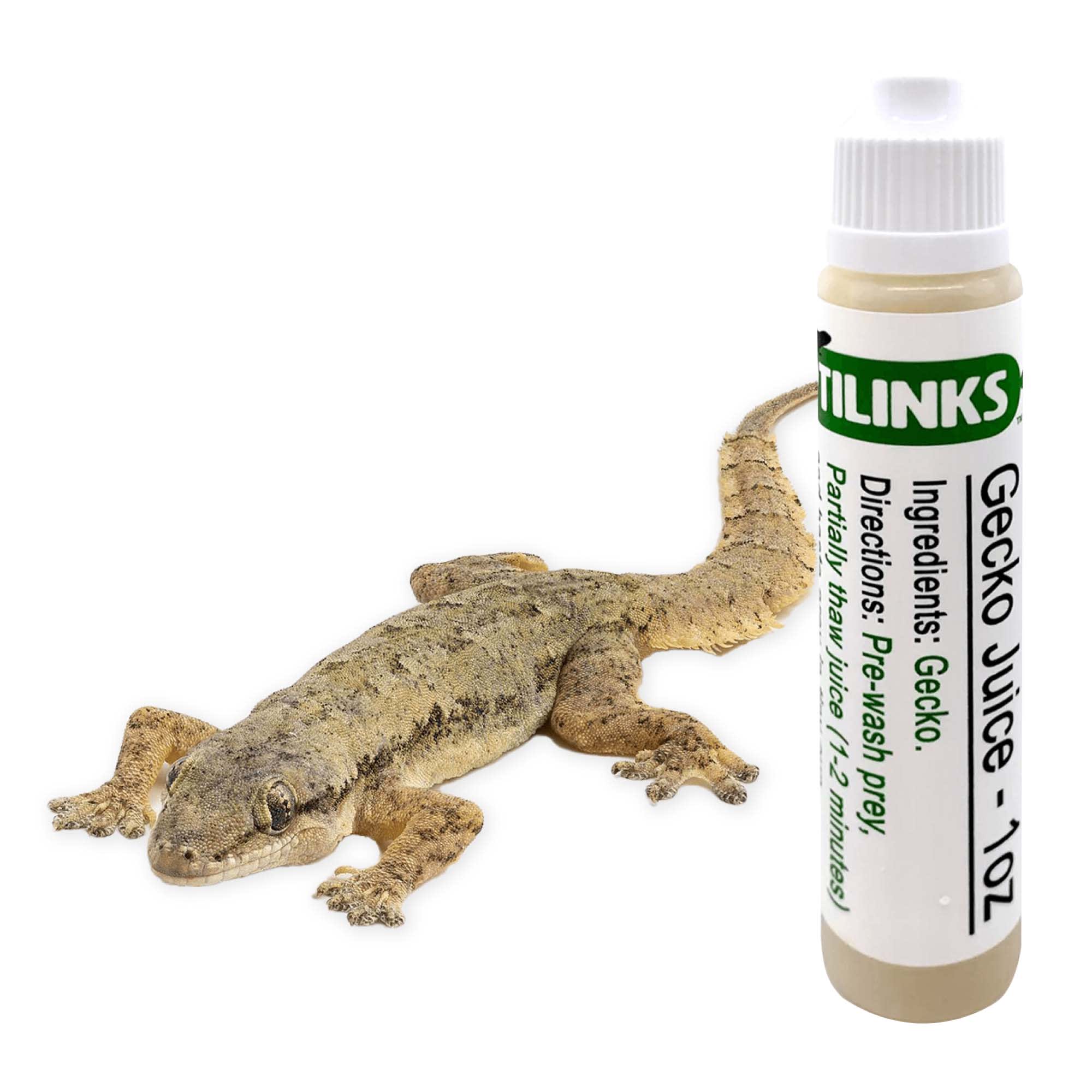 Gecko Diet Squeeze Bottle