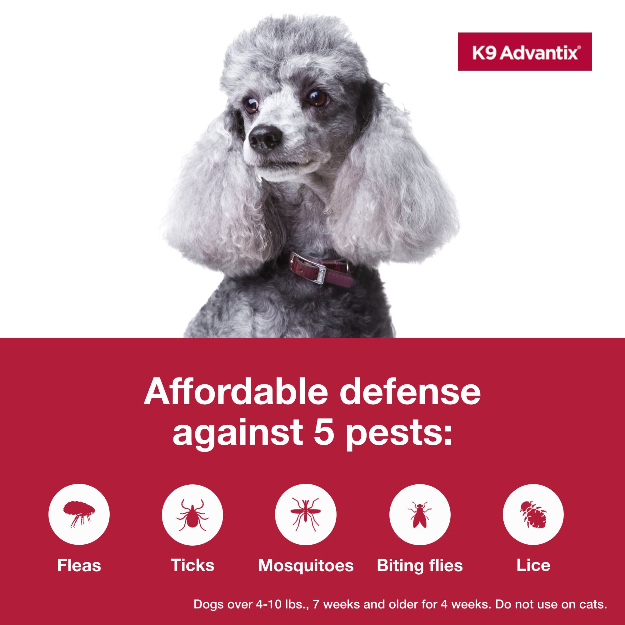 Petco k9 best sale advantix small dog