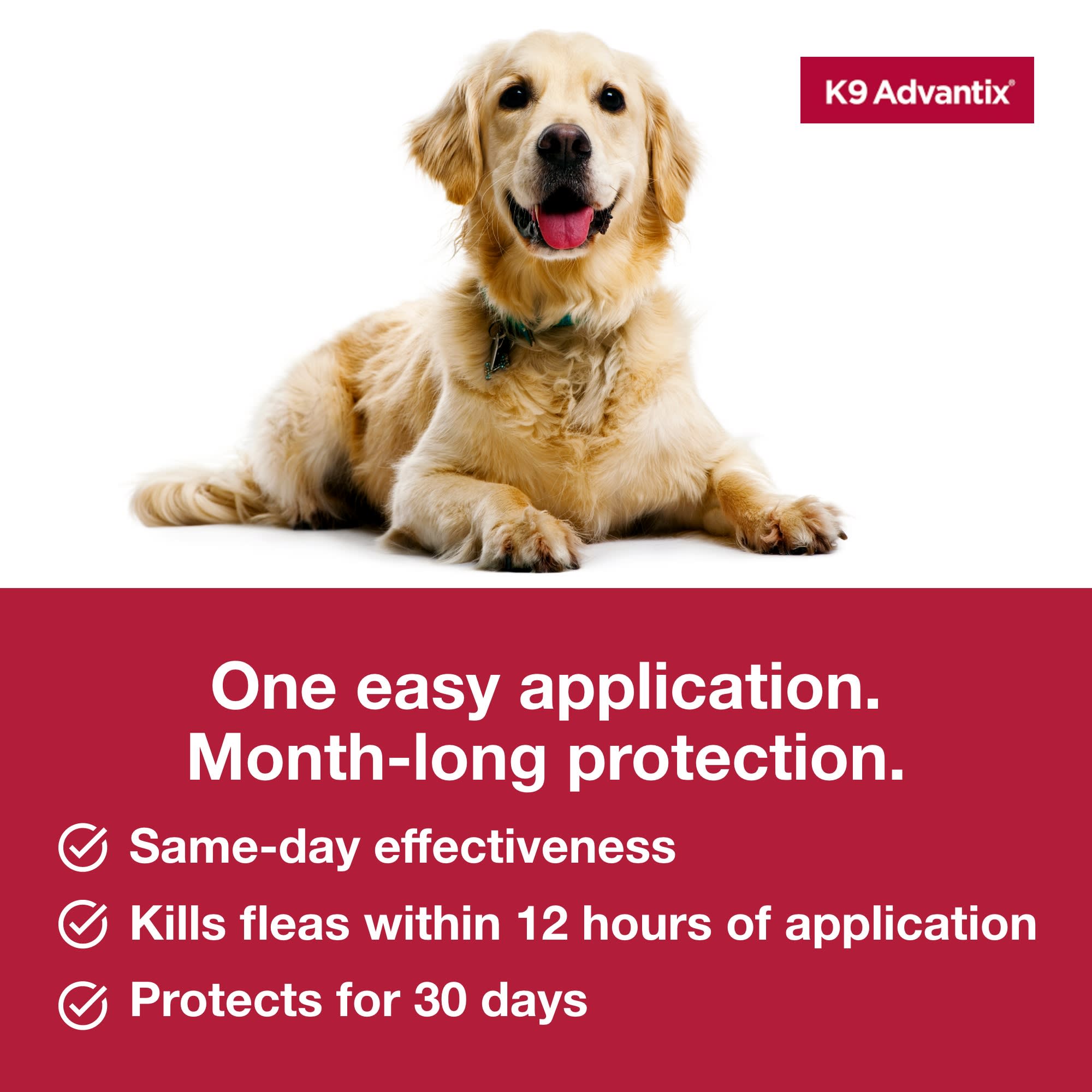 Advantix for dogs outlet petco