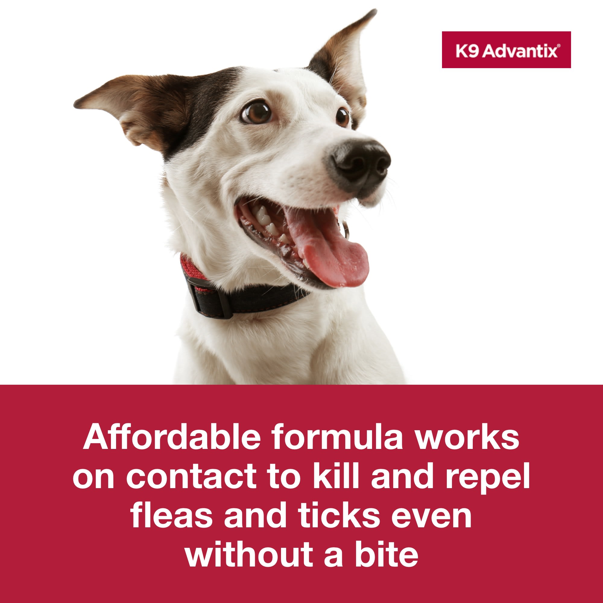 Advantix Spot-On Antiparassitario per Cani - GEA Pet Shop