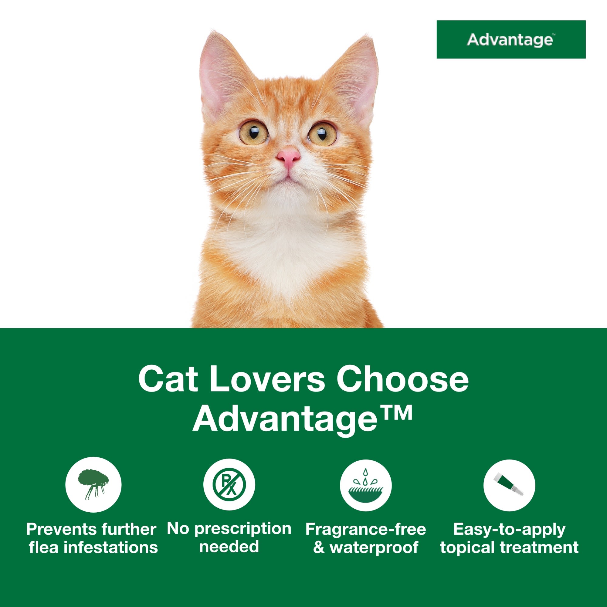 Petco advantage small clearance cat