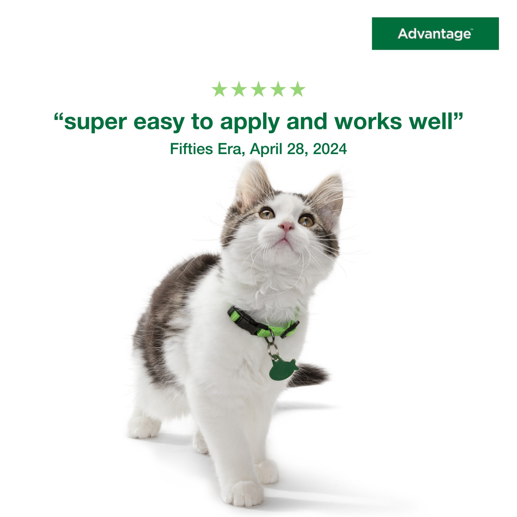 Advantage Topical Flea Prevention 2 Monthly Treatments For Small Cats 2 9 lbs