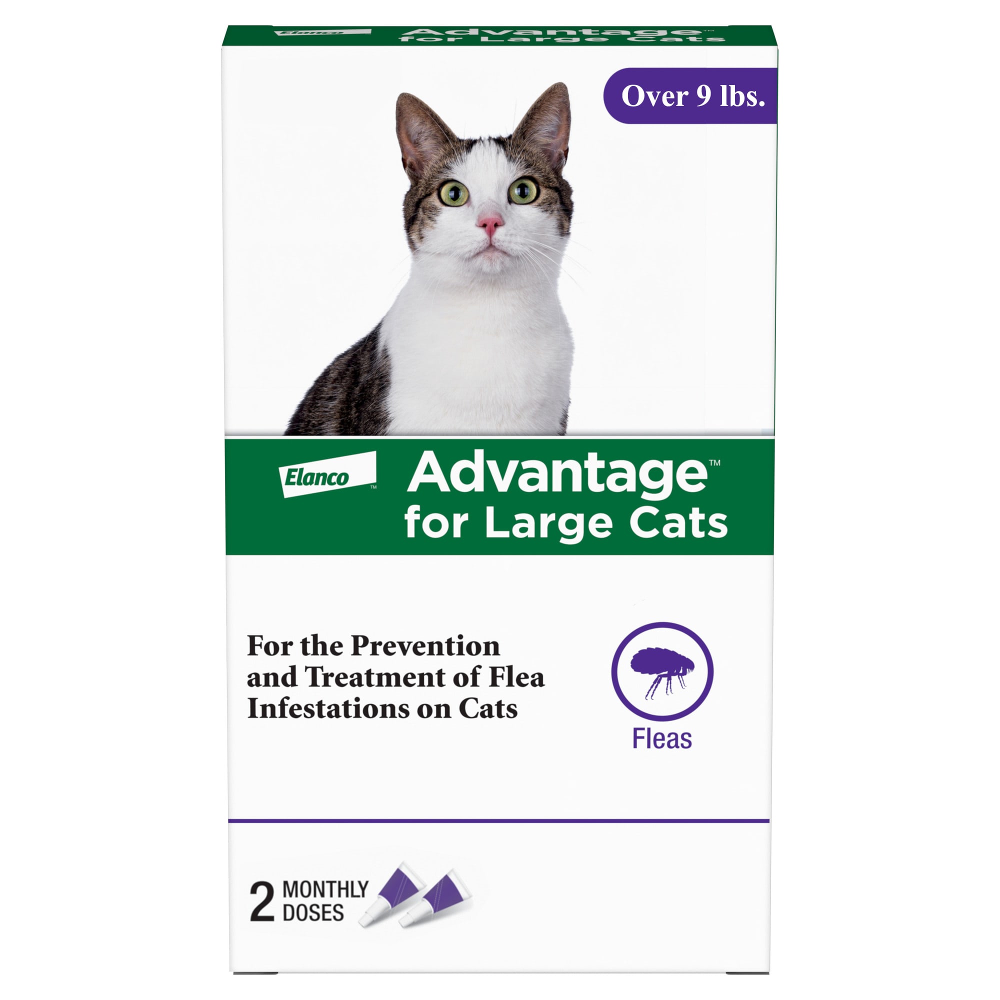 Advantage feline flea treatment hotsell