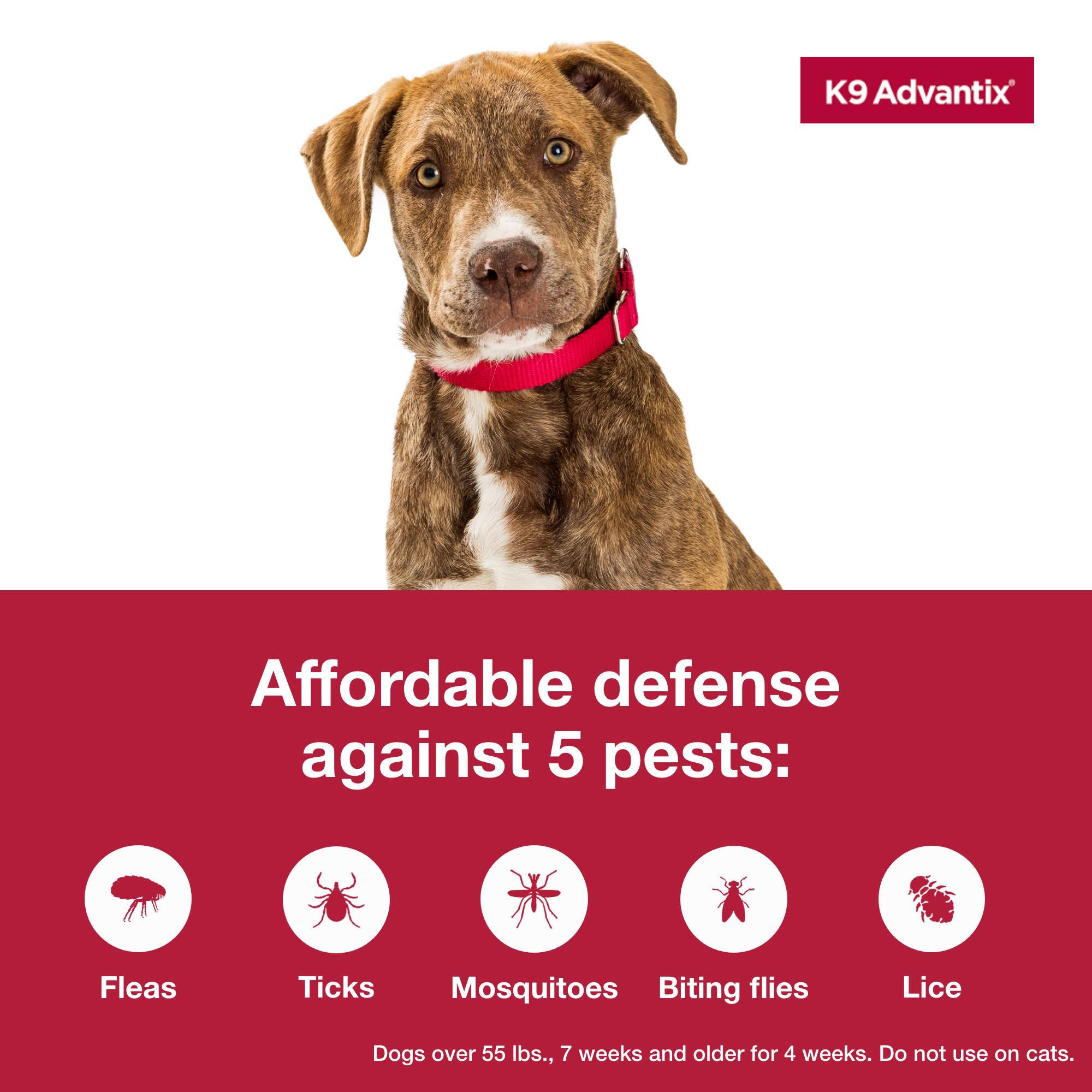 K9 Advantix Tick Mosquito Prevention 2 Monthly Treatments for Extra Large Dogs Over 55 lbs