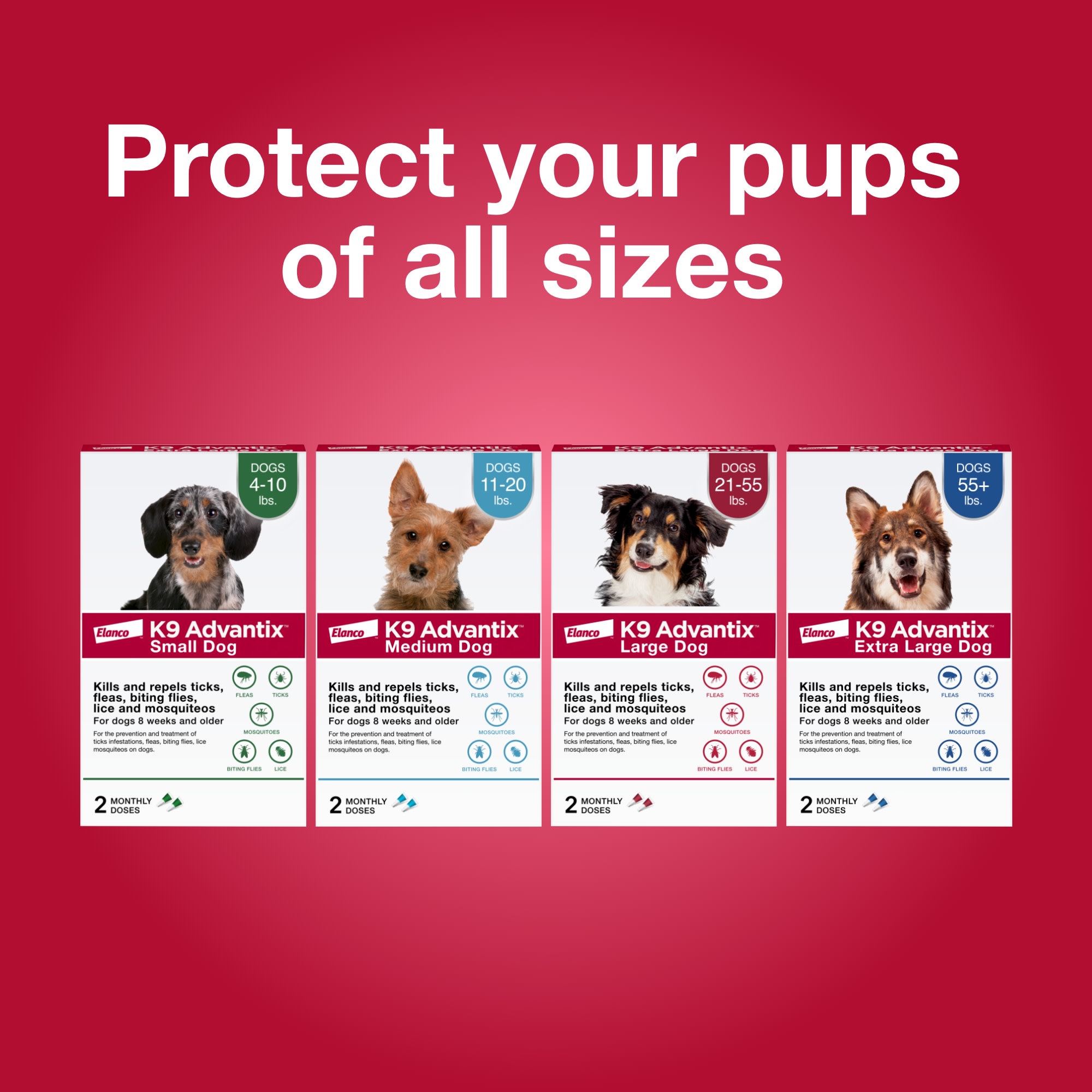 Advantix for clearance dogs petco