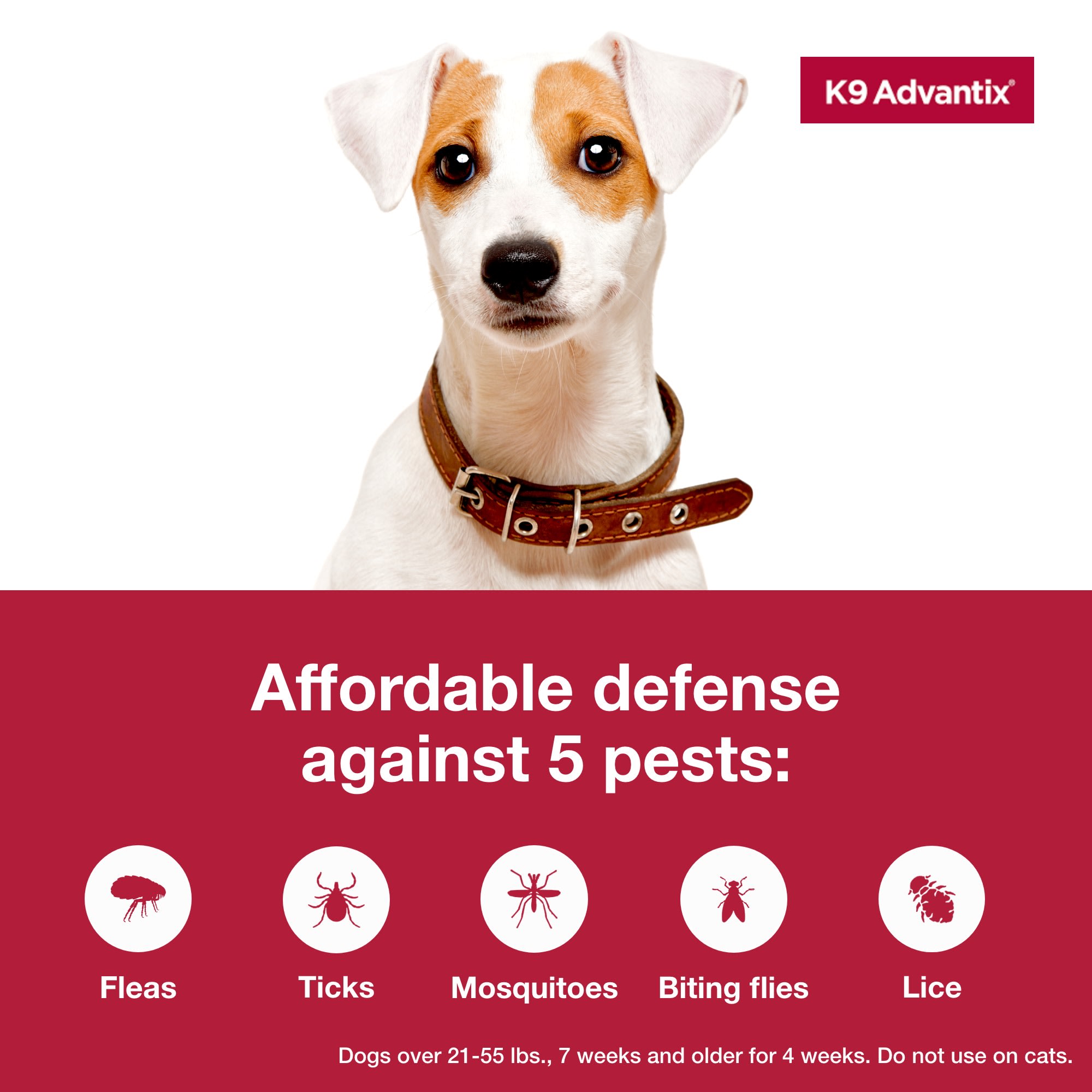 Petco k9 advantix small dog best sale