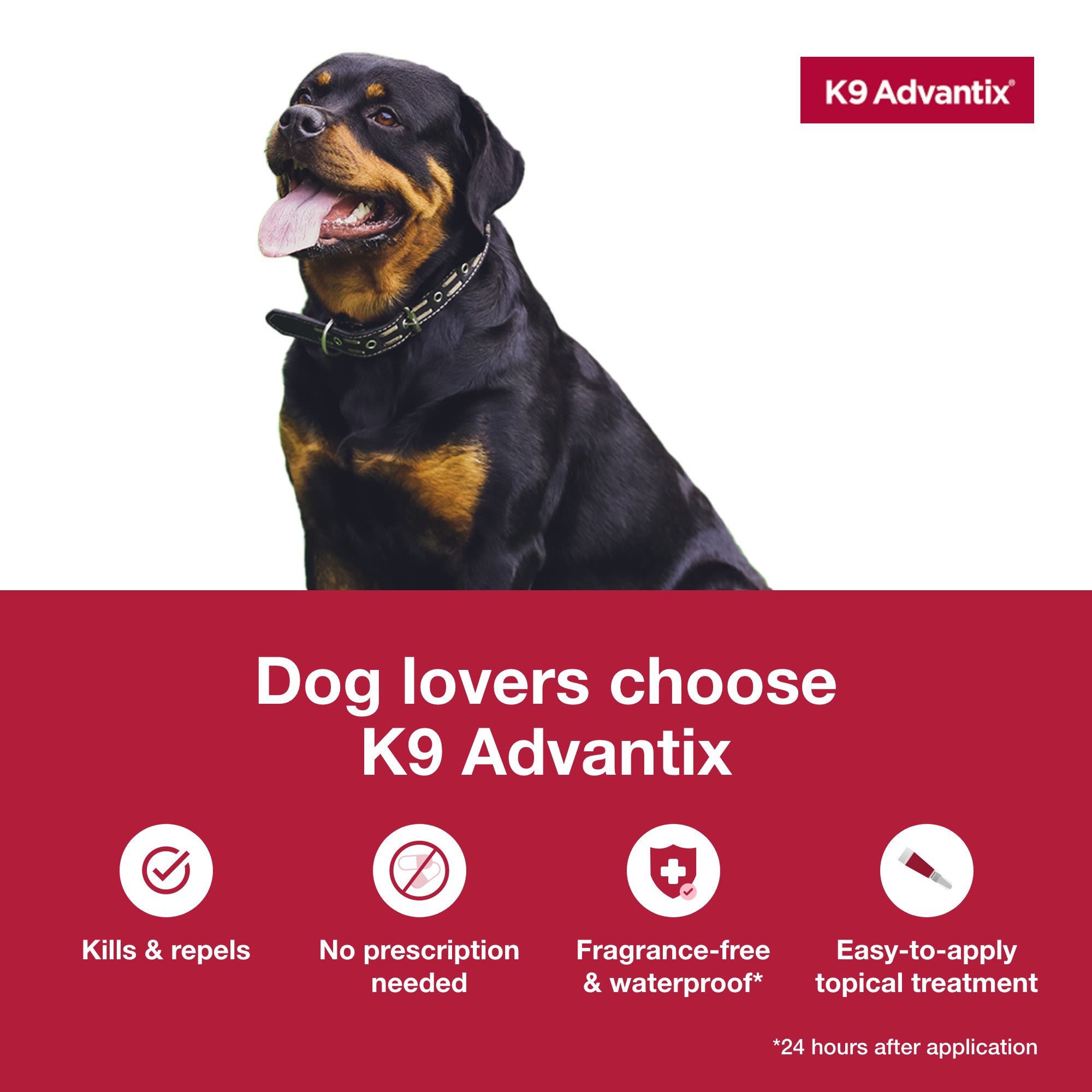 Petco k9 hotsell advantix large dog