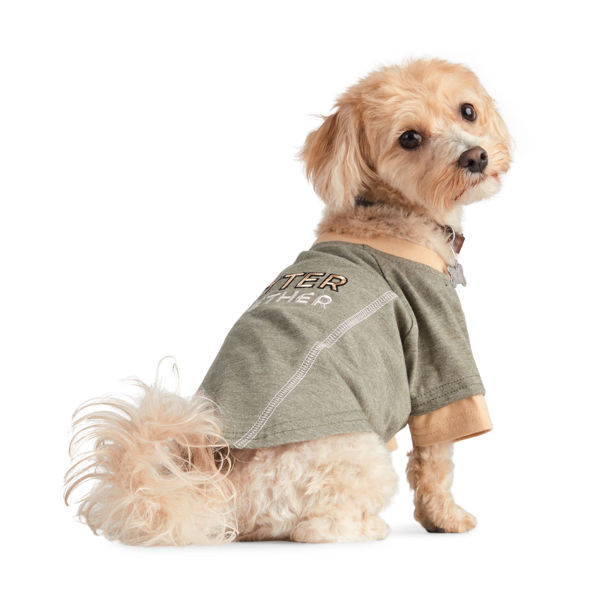 Reddy Olive EcoFriendly Dog Tee XS Soft & Stylish