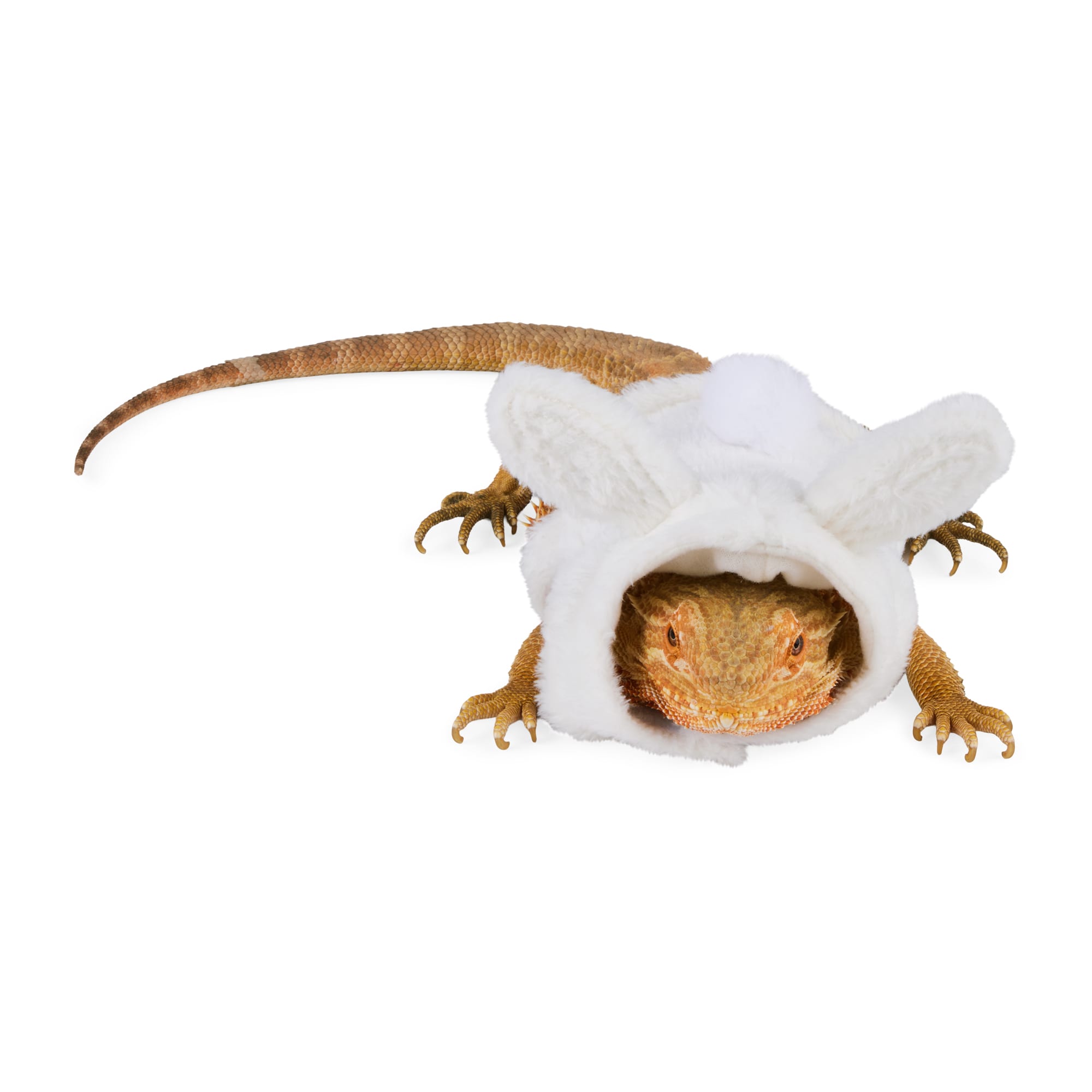 YOULY Easter Bearded Dragons Bunny Hoodie | Petco