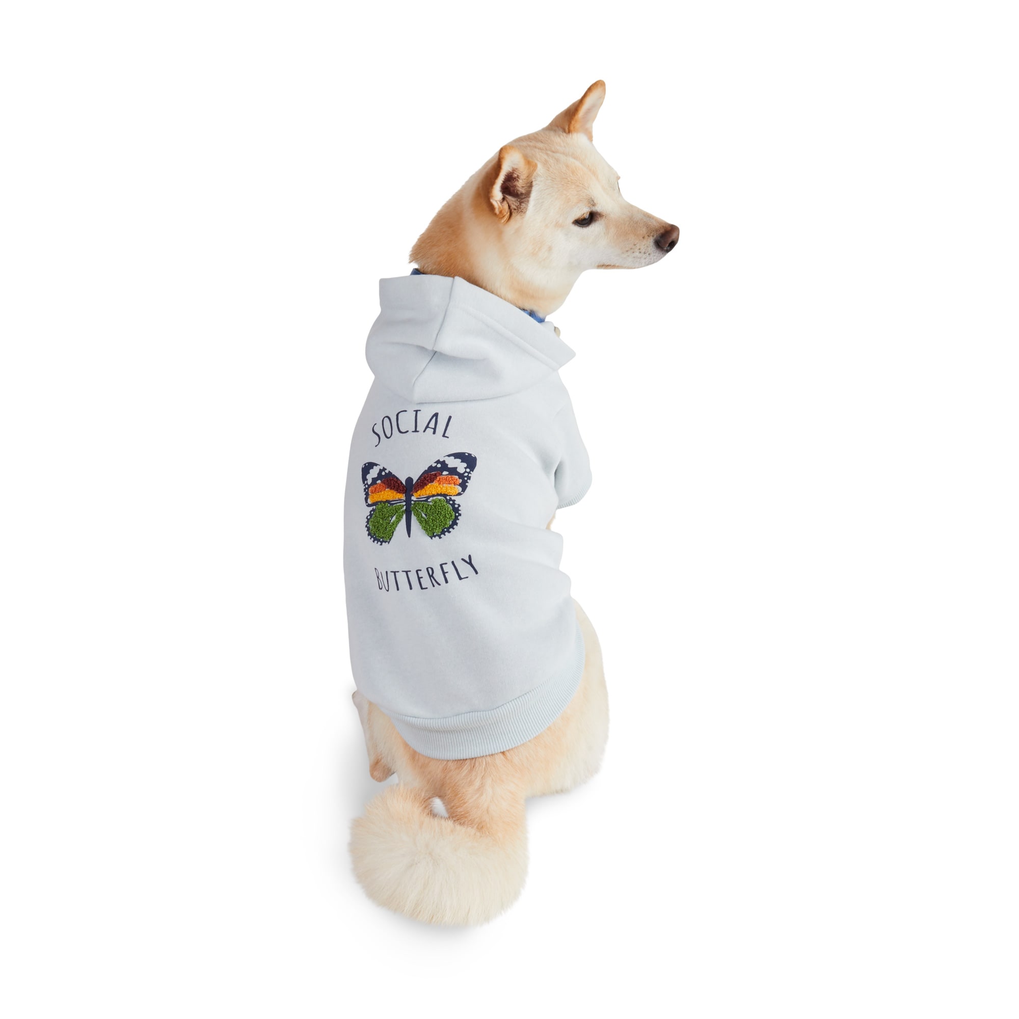 Started As A Bottle Butterfly Hoodie for Dogs and Cats XX Small Grey Petco