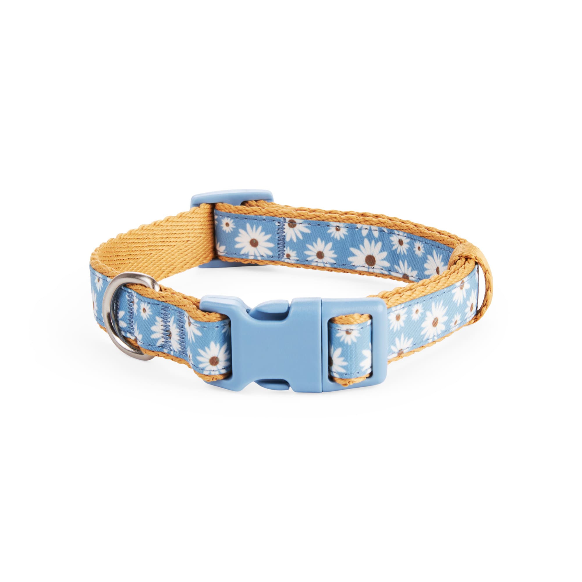 Started As A Bottle Daisy Adjustable Dog Collar, Small | Petco