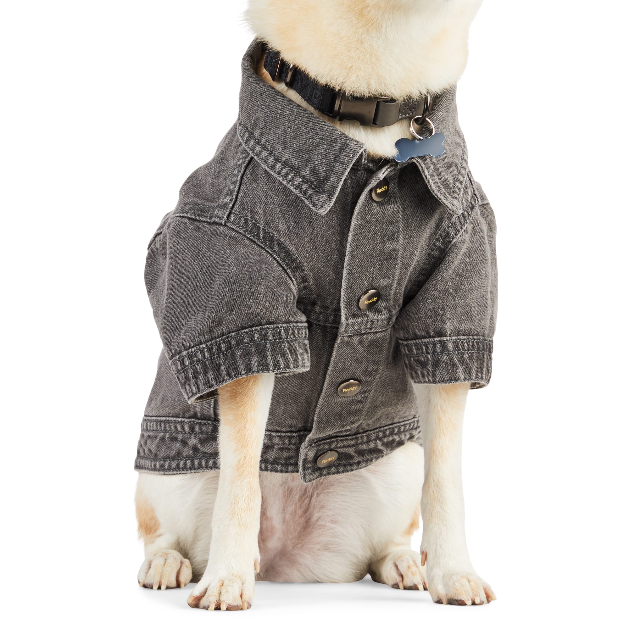 Reddy Denim Jacket for Dogs, Dark Wash, X-Small Petco