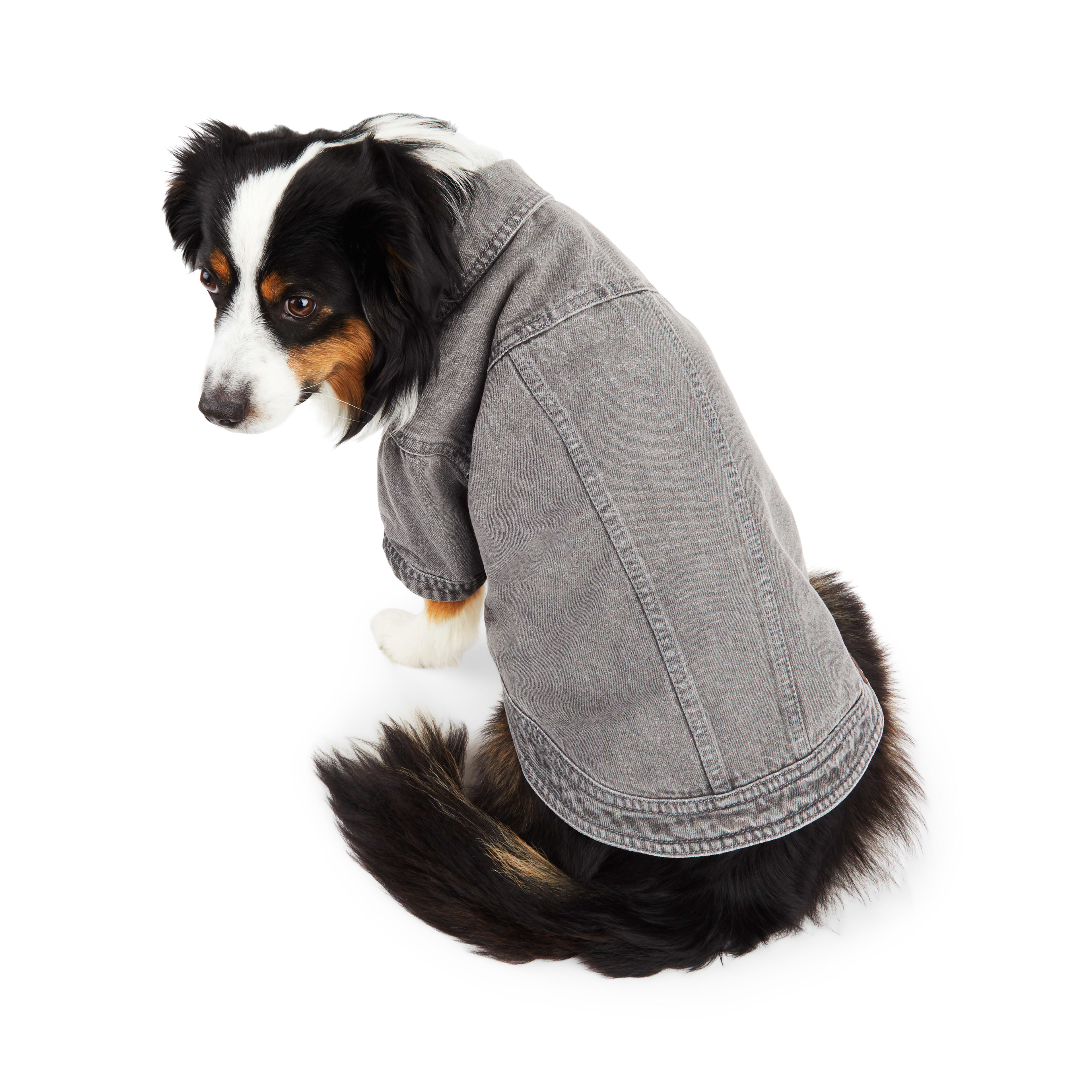 Denim jackets hotsell for dogs