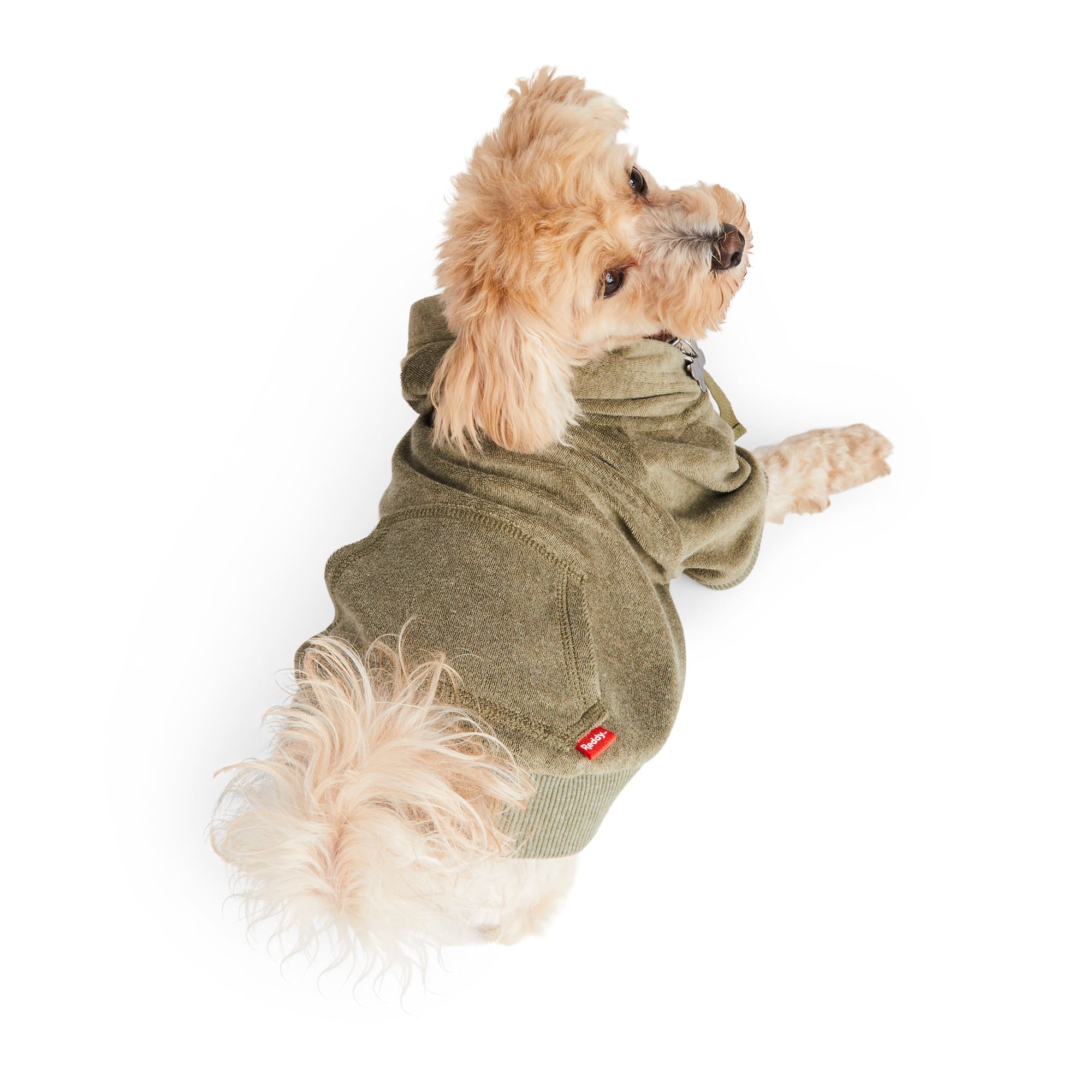 Reddy dog sweatshirt hotsell