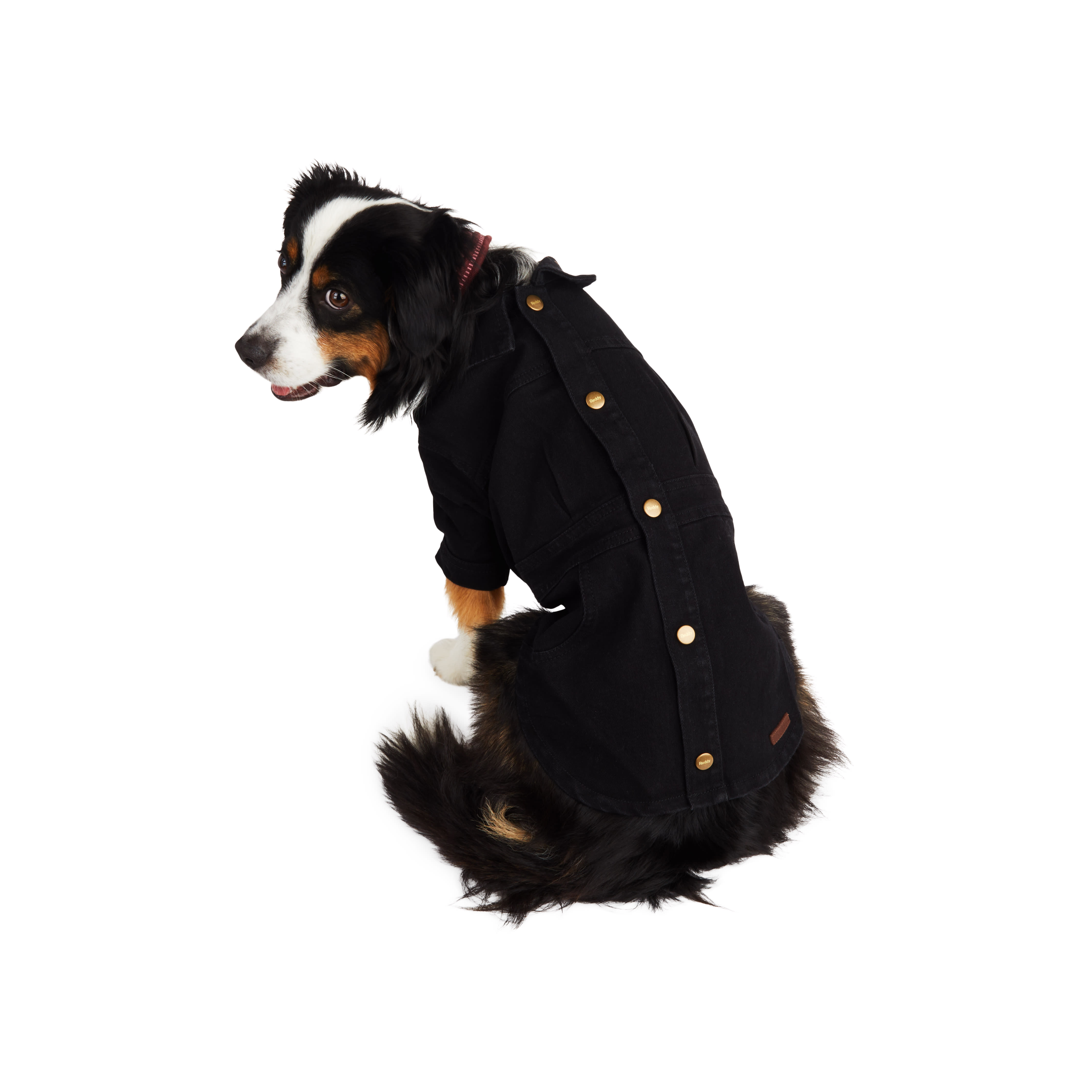 Reddy XSmall Black Denim Dog Dress & EcoFriendly