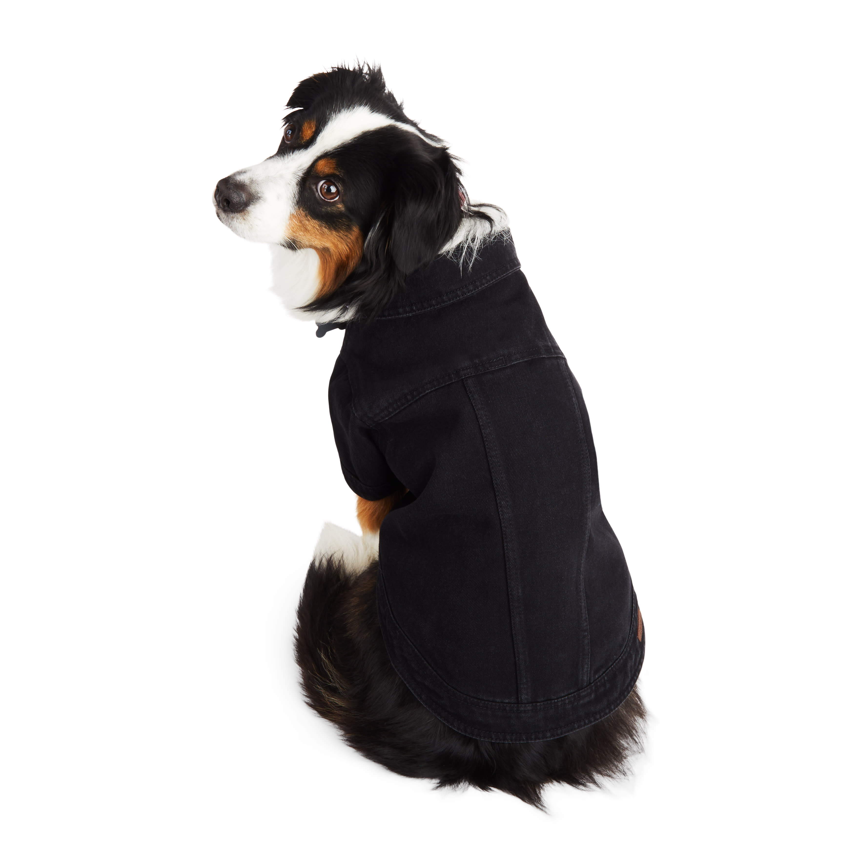 Dog jean 2024 jacket target