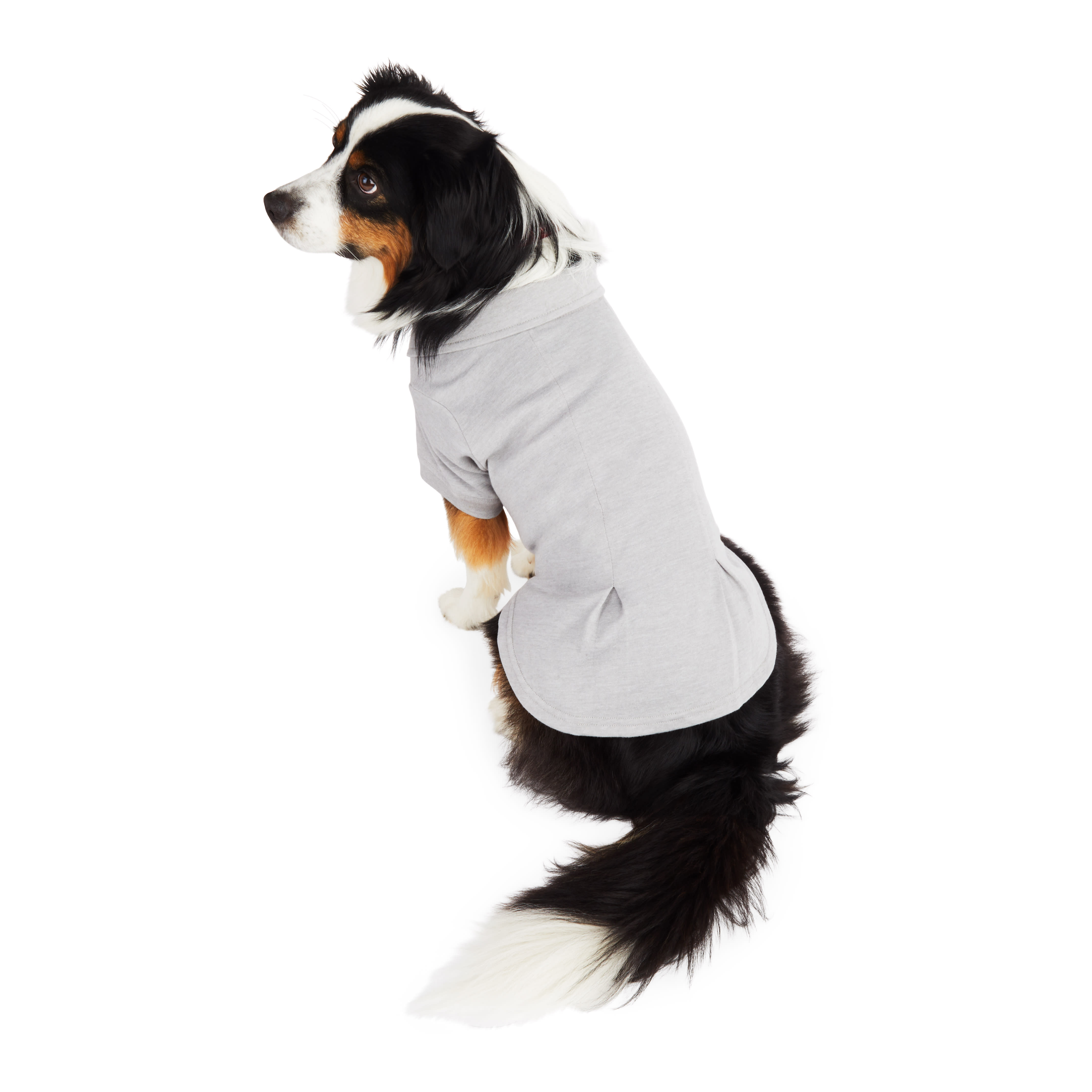 Reddy Grey Pleated Polo Shirt for XSmall Dogs & Pups