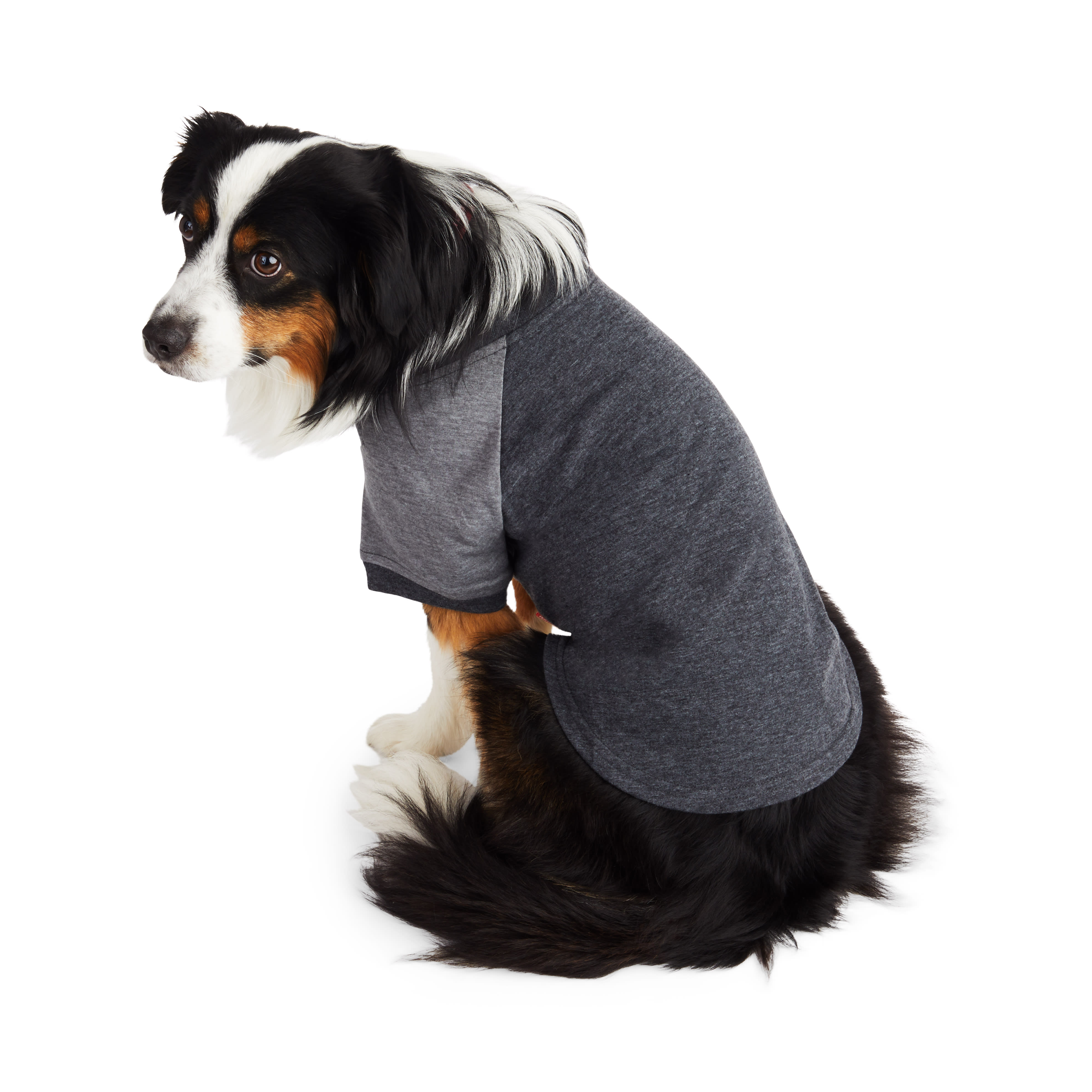 Petco dog clothes hotsell