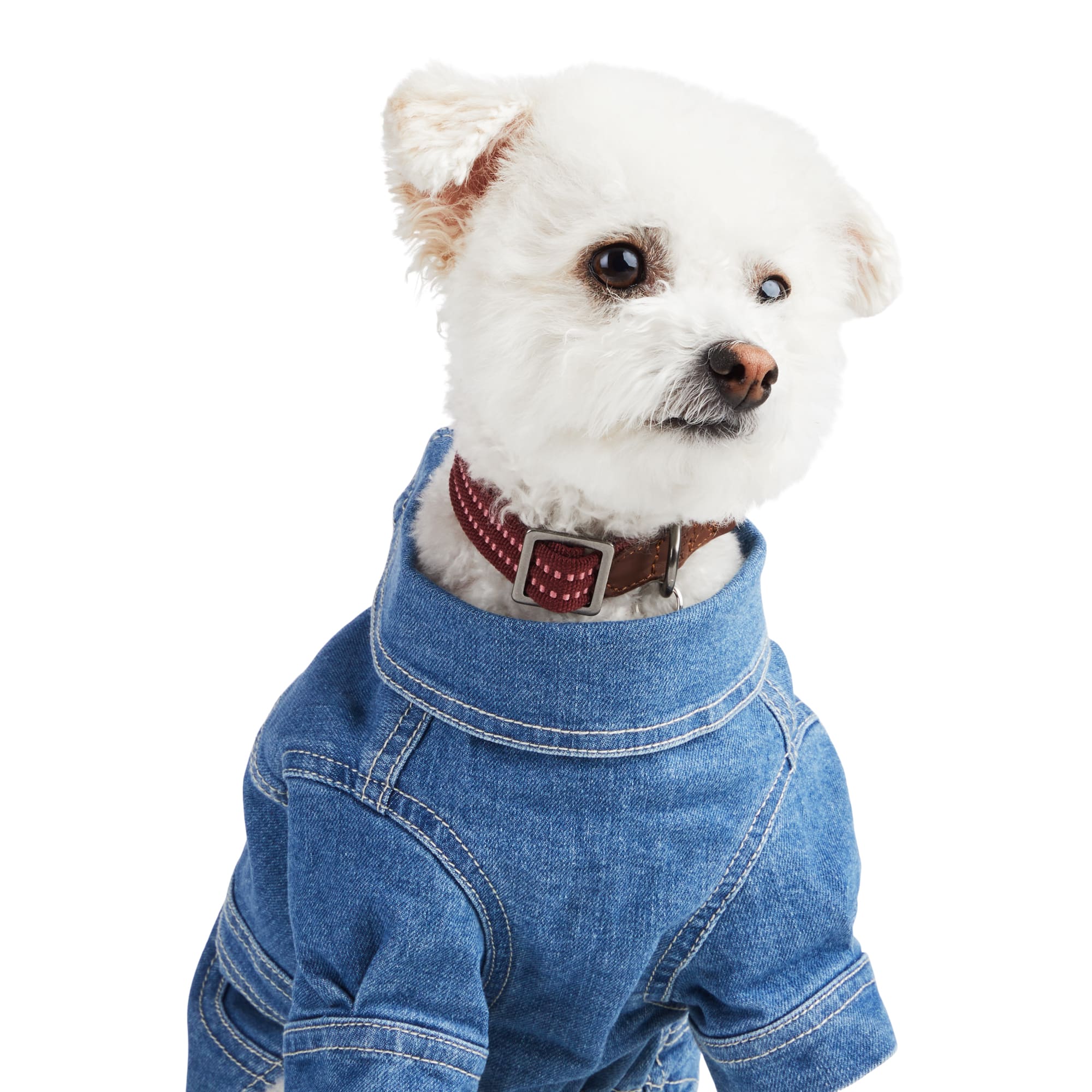 Reddy Denim Dress for Dogs, Dark Black, X-Small | Petco