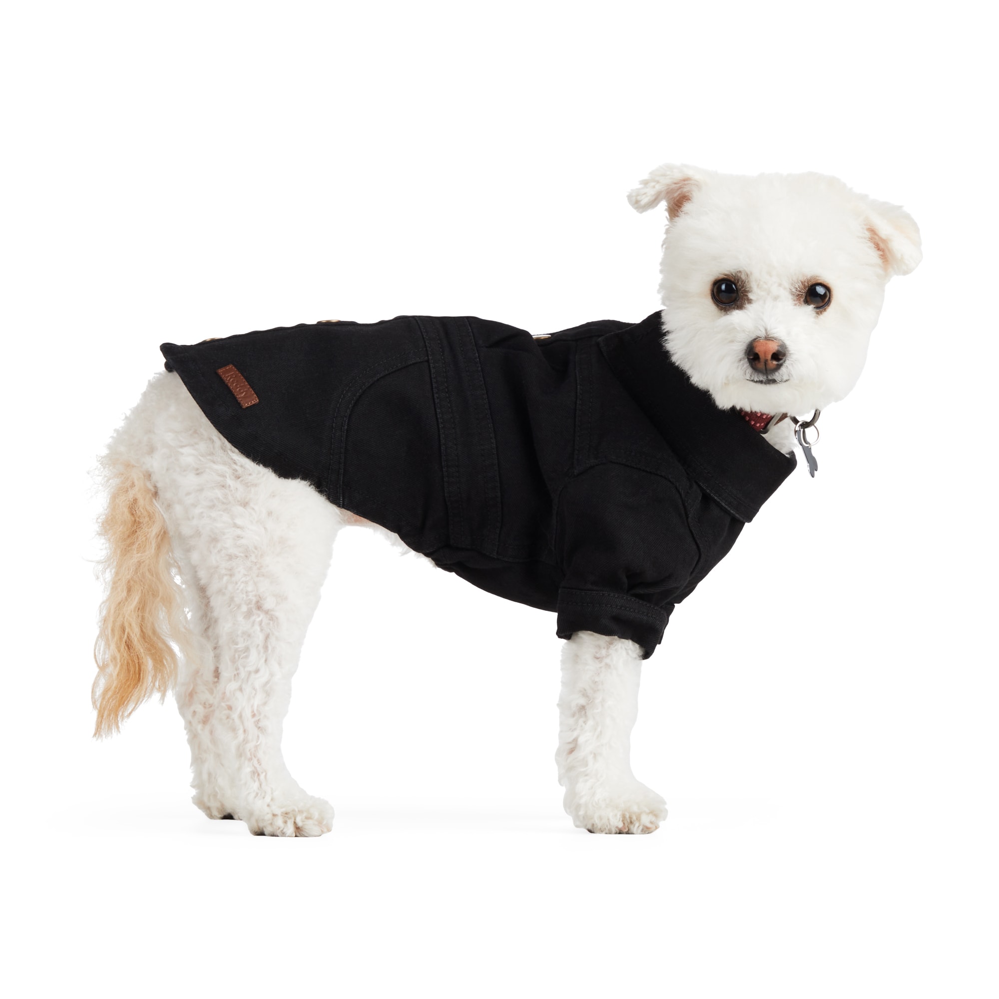 ocean denim dog dress review Prairie Dog Dress by Parisian Pet