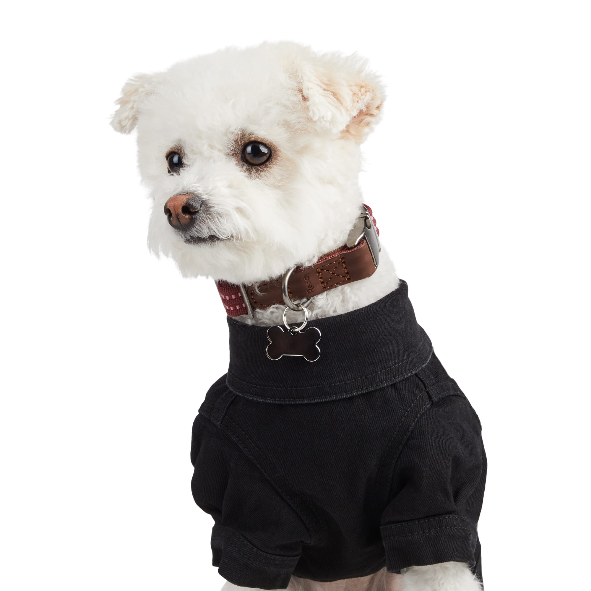 ocean denim dog dress medium Denim Dog Dress Sewing Pattern, Size Medium (PDF Pattern)
