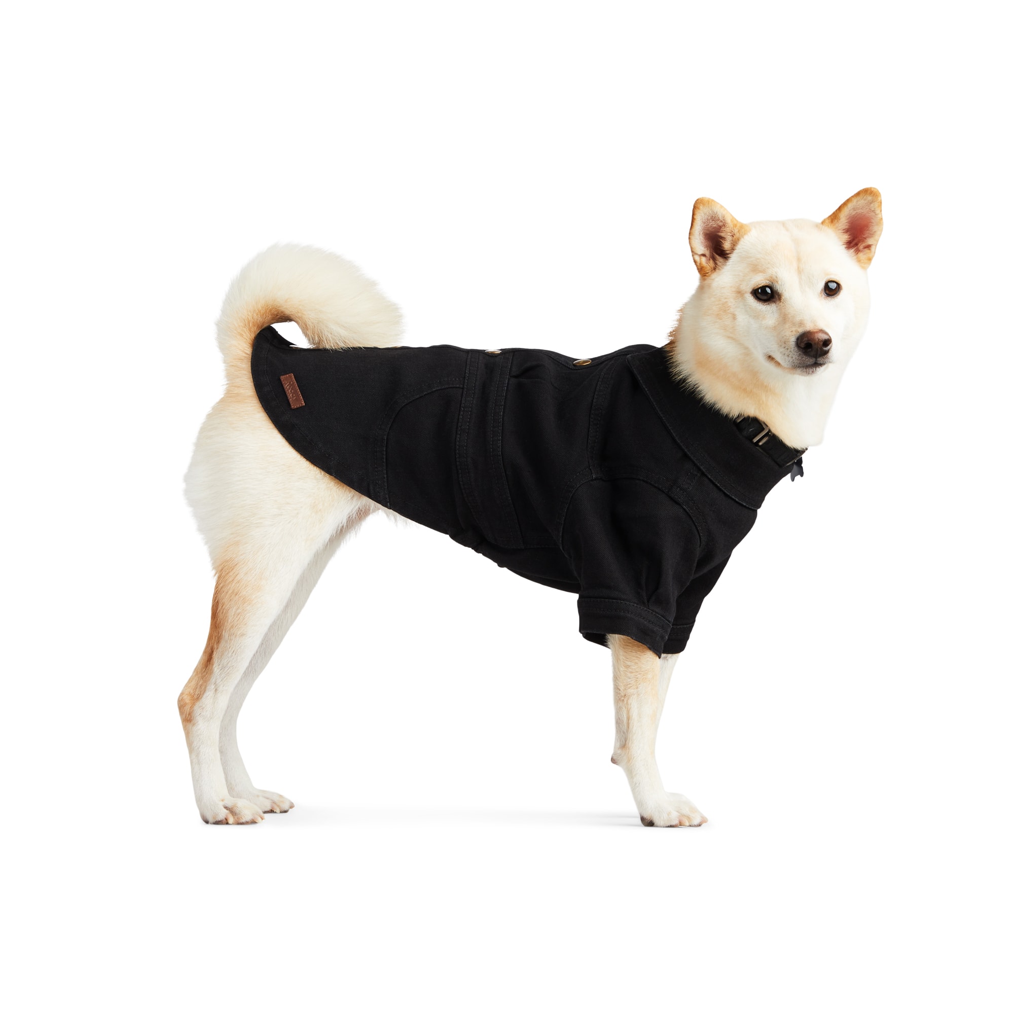 Reddy Denim Dress for Dogs, Dark Black, Small