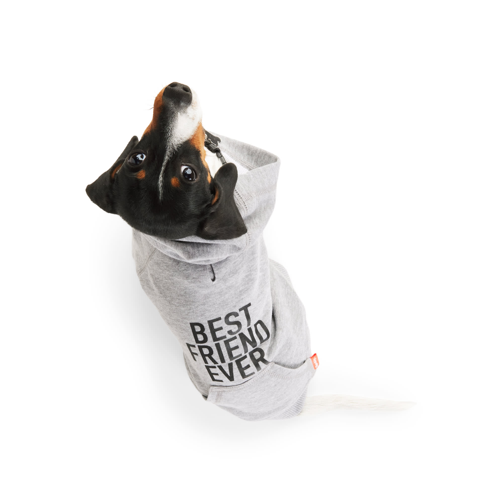 Reddy Best Friend Ever Dog Hoodie, XSmall Petco