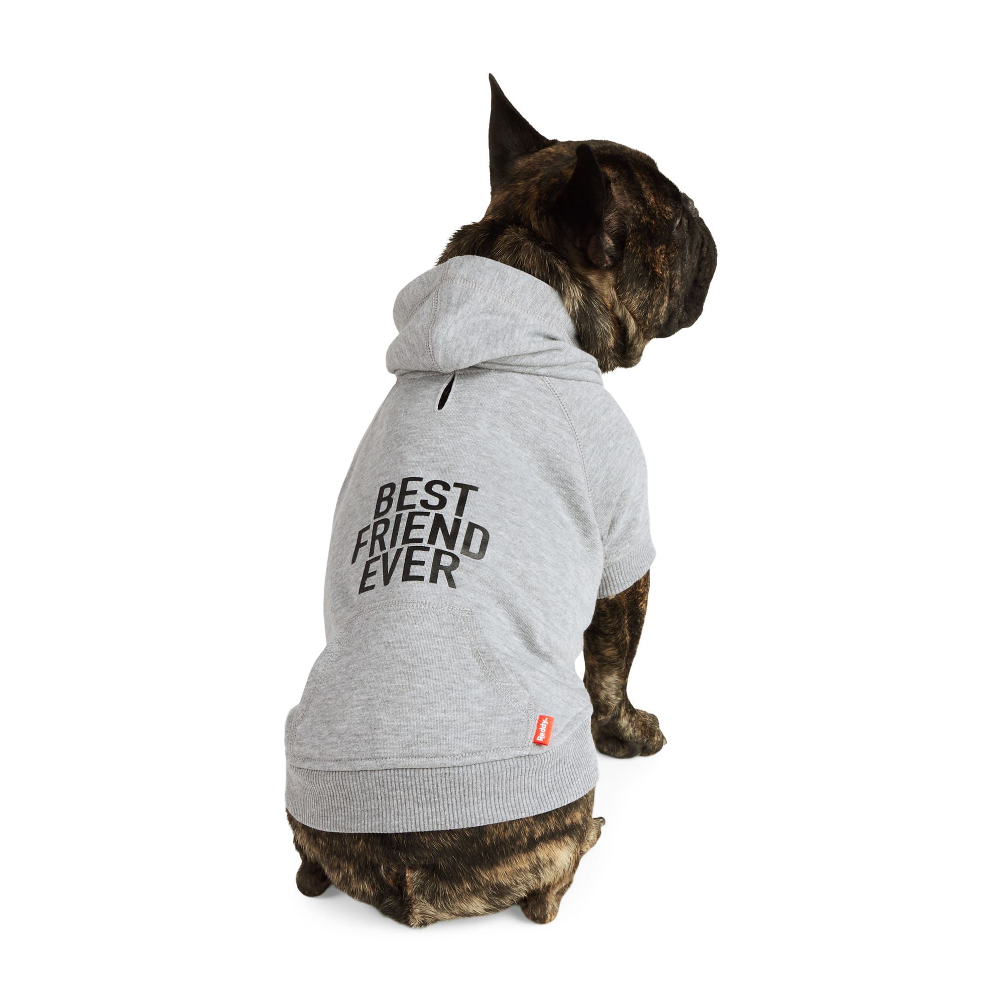 Must Love Mini Pigs Hooded Sweatshirt