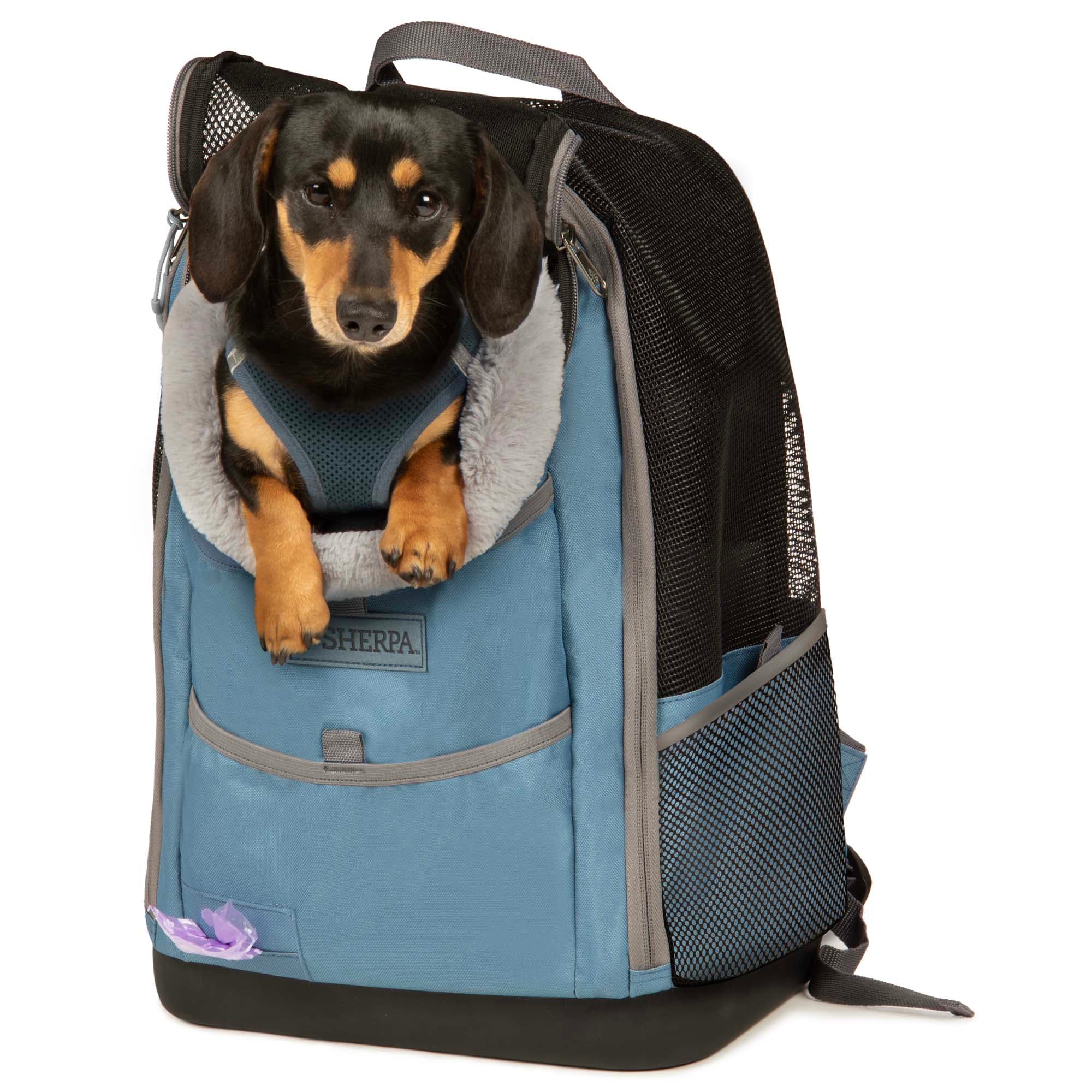 Frog backpack hotsell for dogs