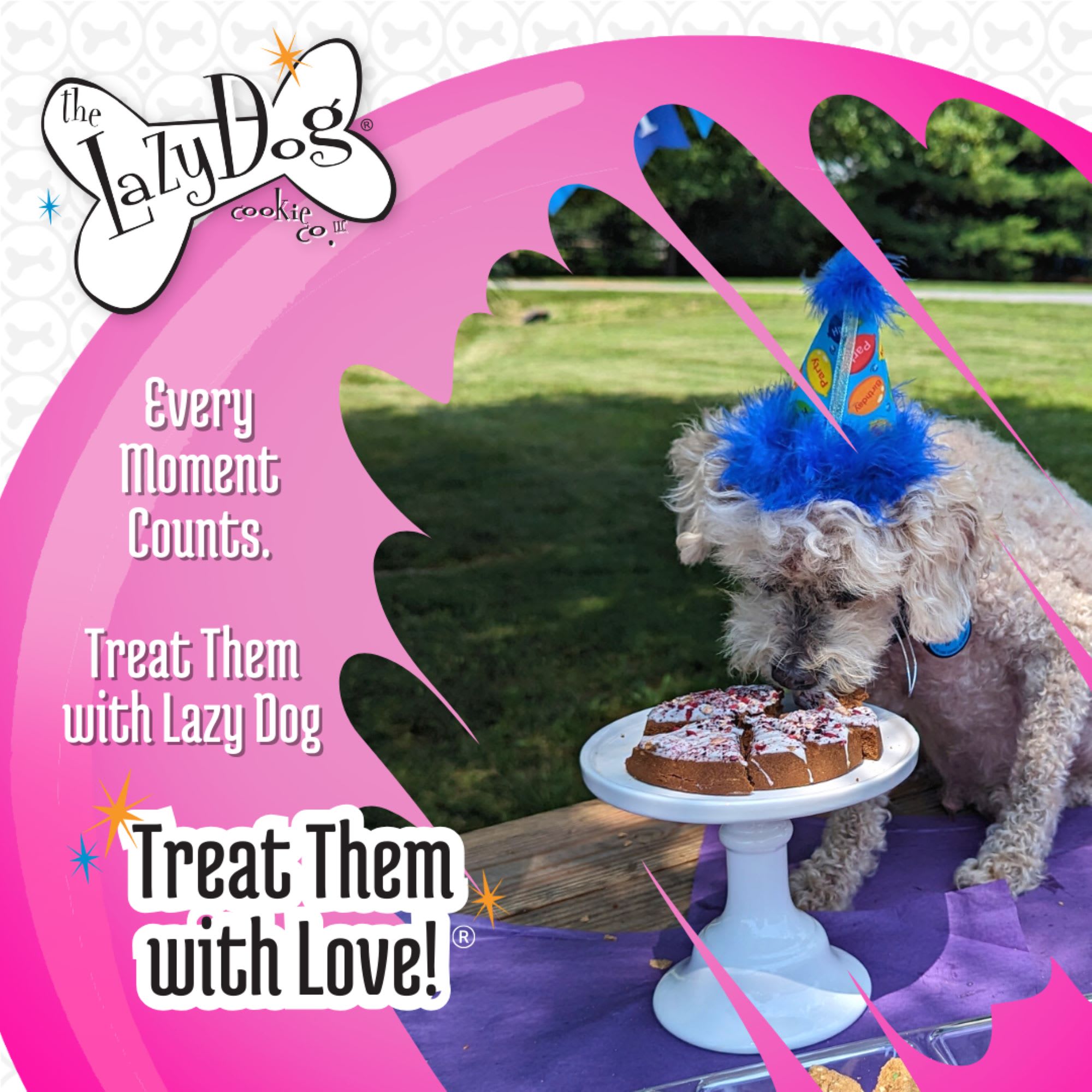 Petco dog birthday best sale