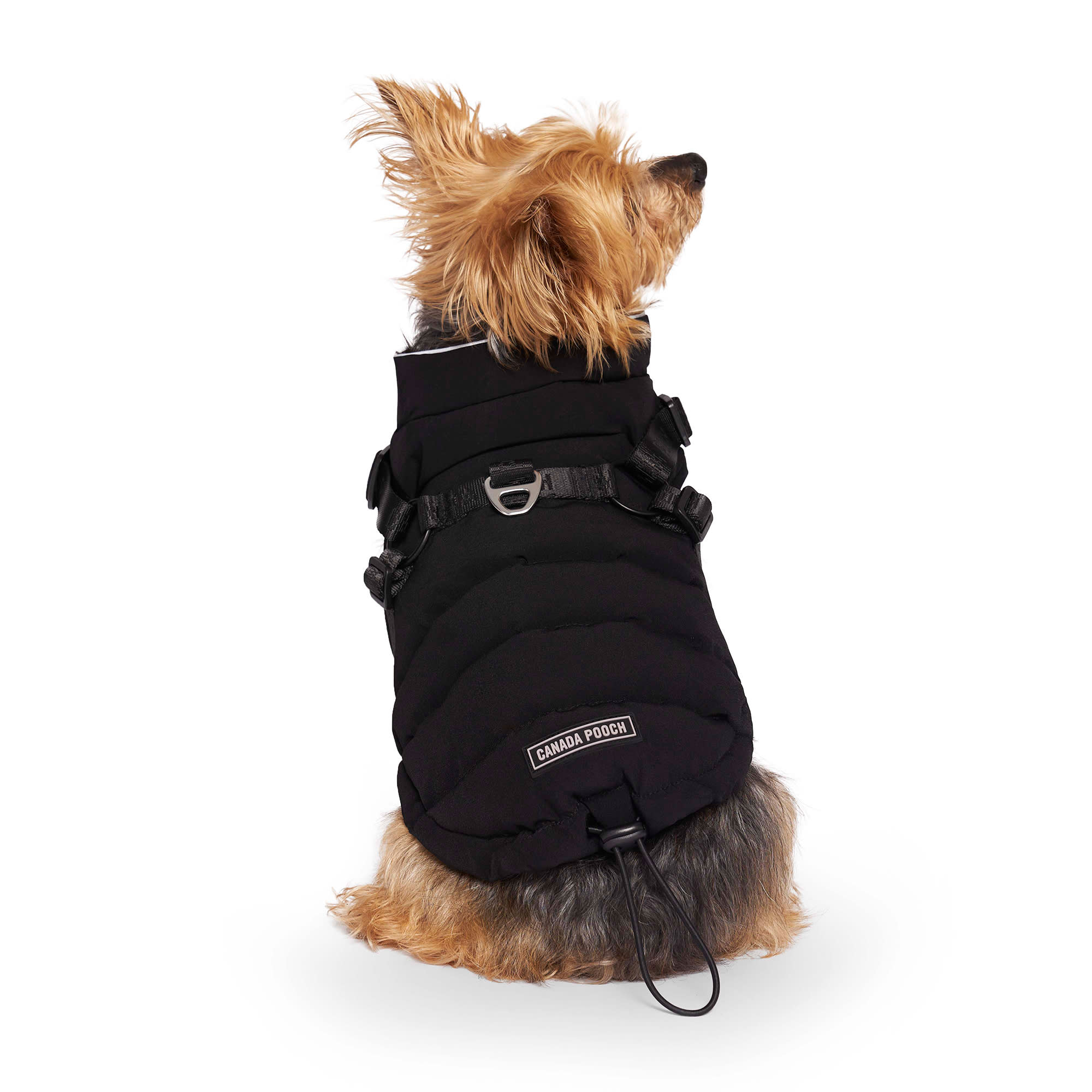 Canada goose dog store vest