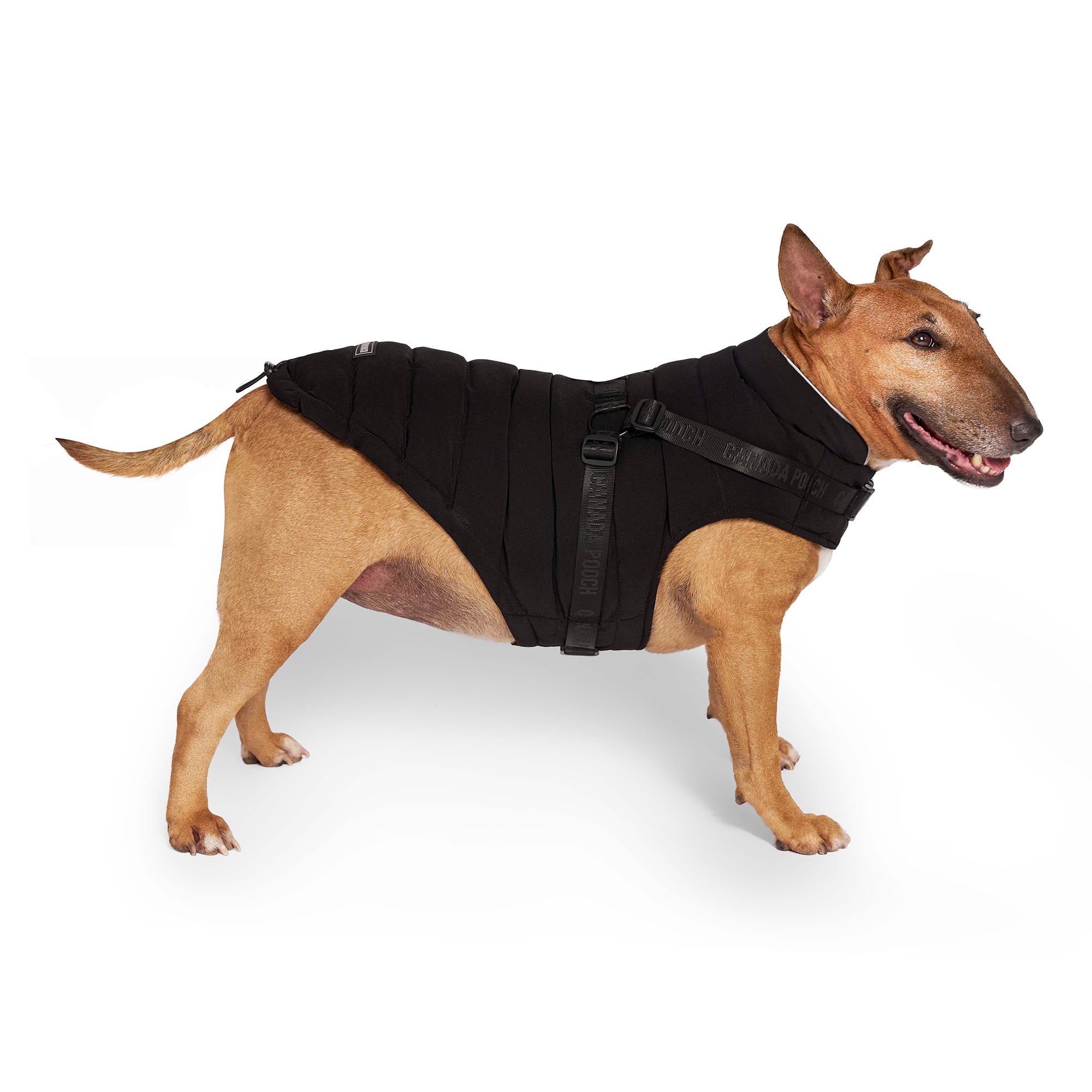 Canada Pooch Dog Harness Puffer, XXX-Small, Black Petco