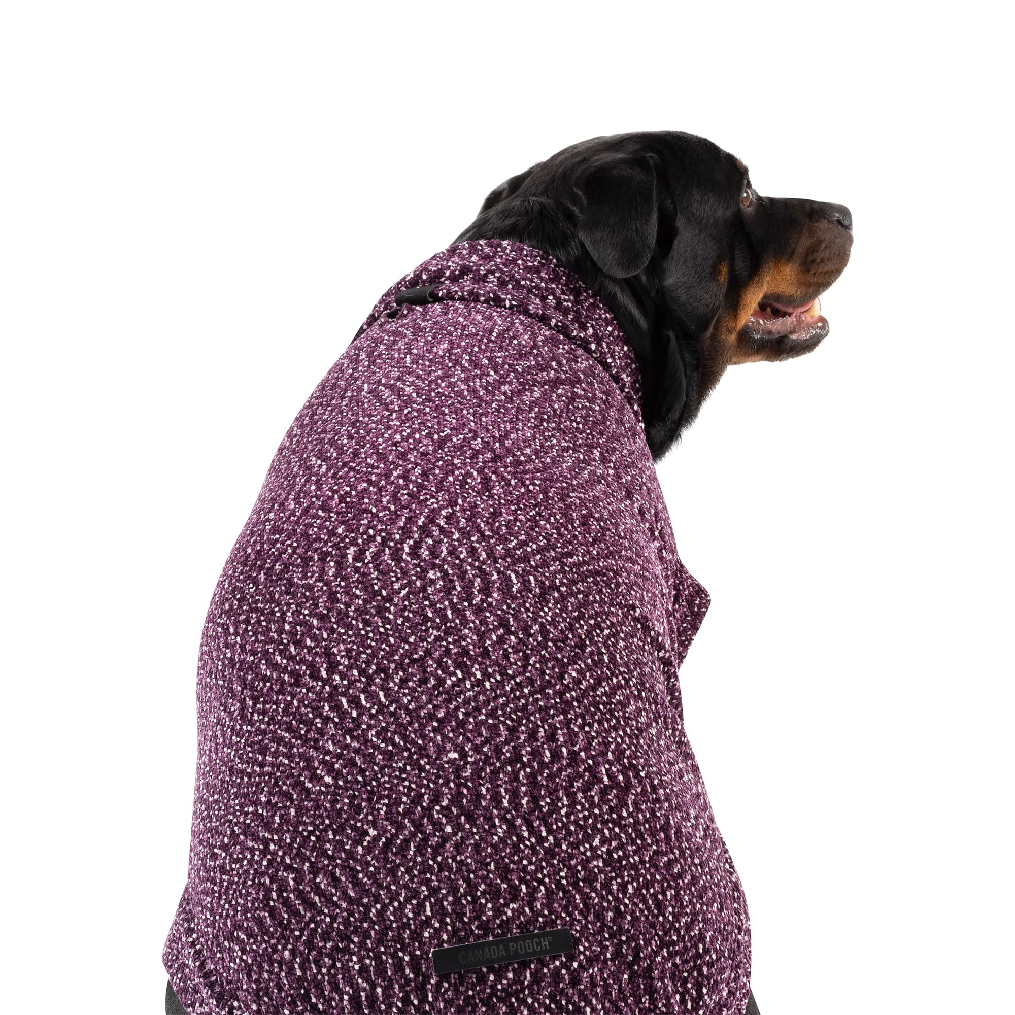 Canada Pooch Soho Dog Sweater, 3X-Small, Pink | Petco