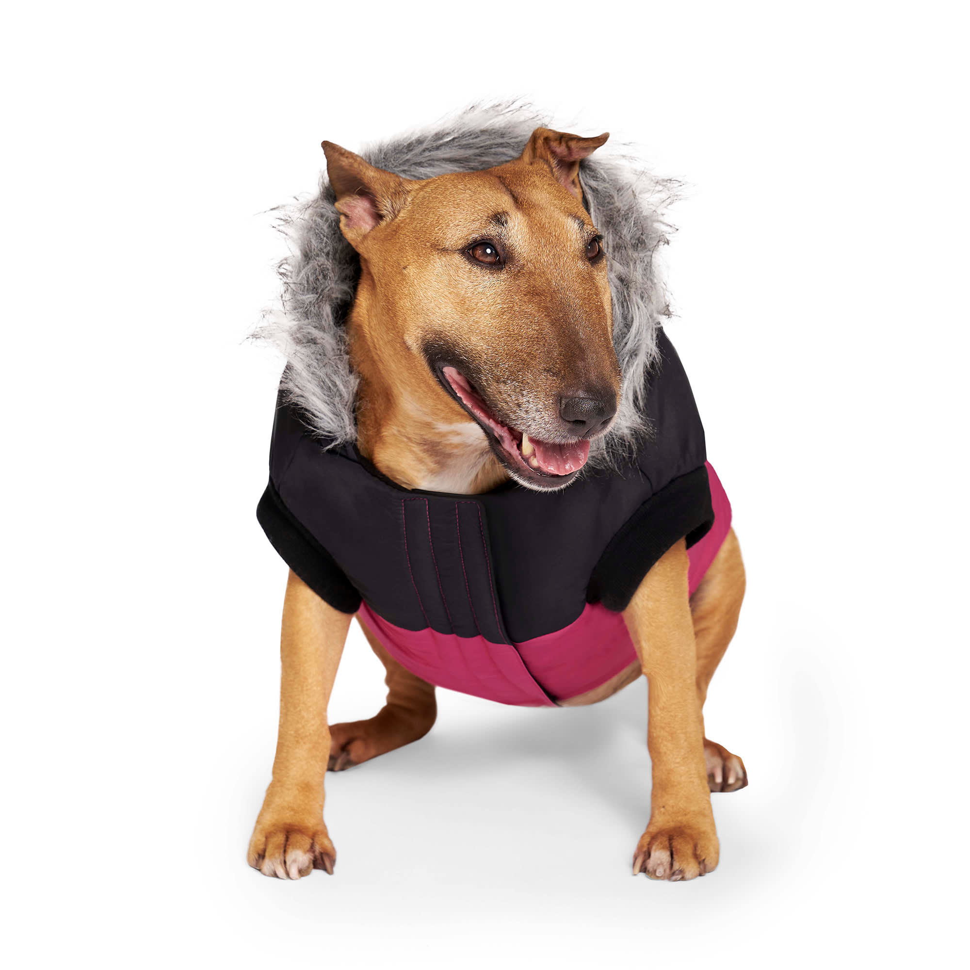 Canada Pooch True North Parka for Dogs, XSmall, Pink Petco
