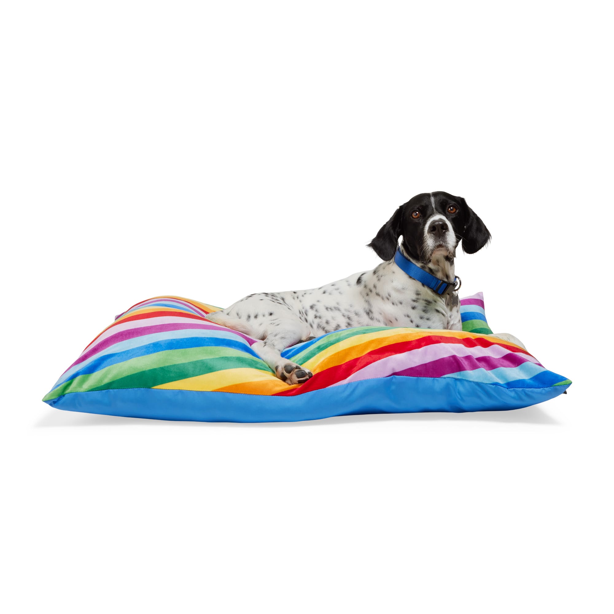 EveryYay Essentials Rainbow Pillow Dog Bed 38