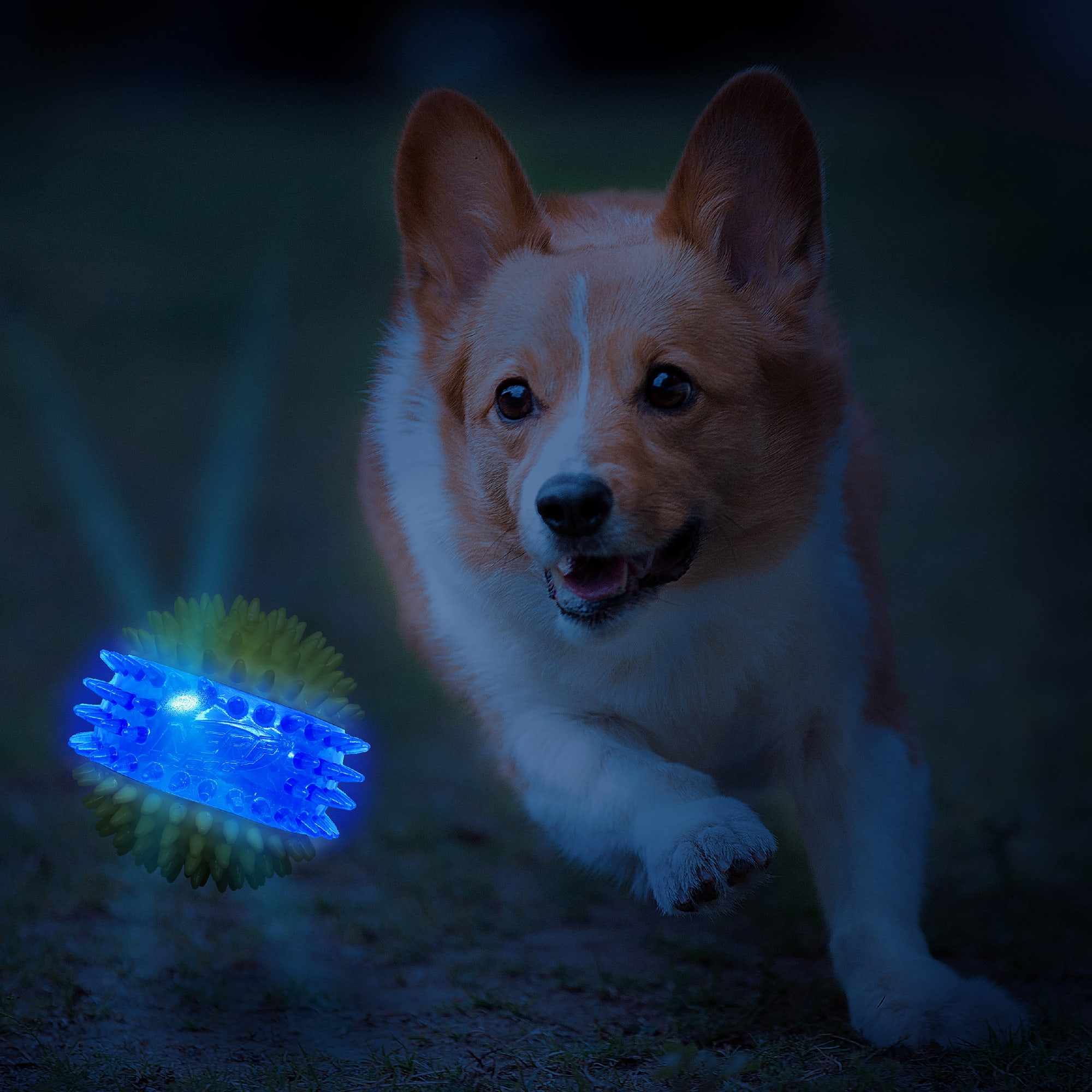 Nerf TPR 3-Part Spike LED & Squeak Ball Toy for Dogs, X-Small | Petco