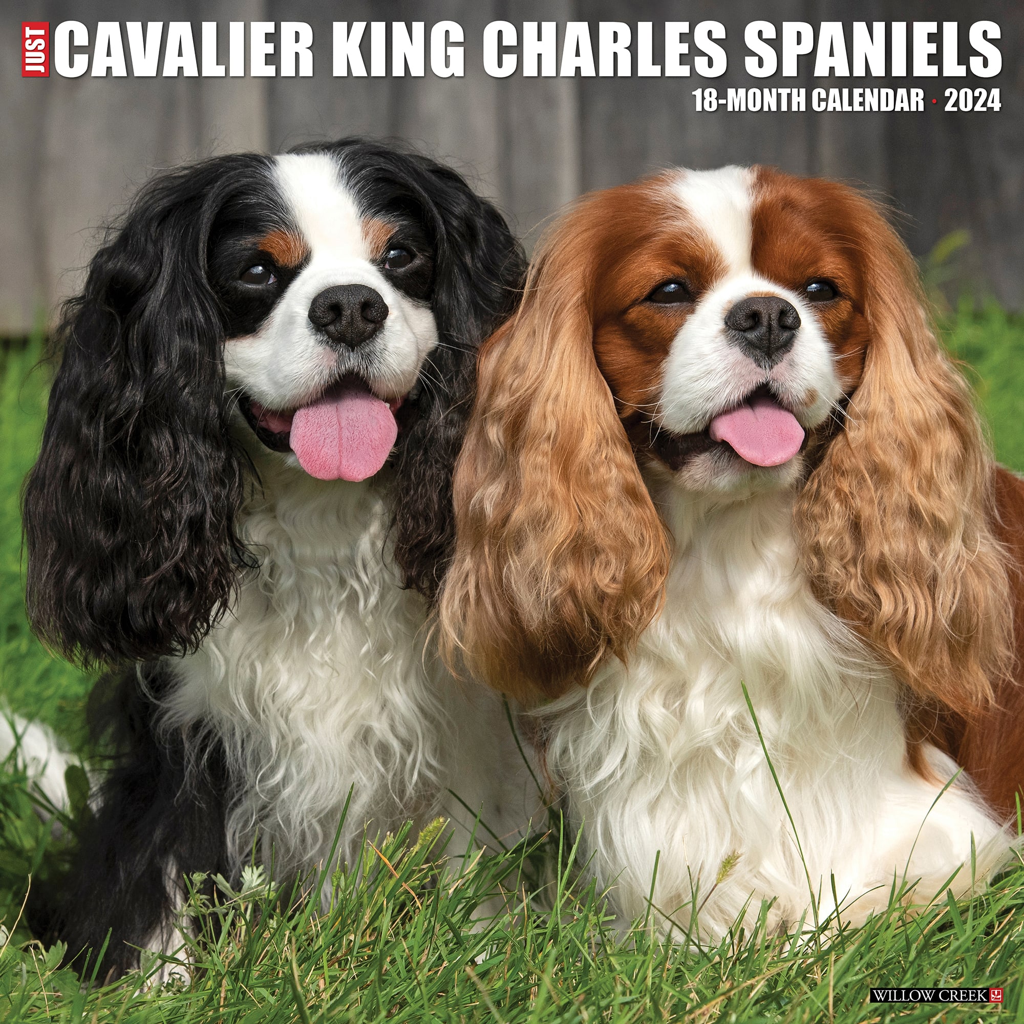 Willow Creek Press Just Cavalier King Charles Spaniels 2024 Wall   3860410 Center 1