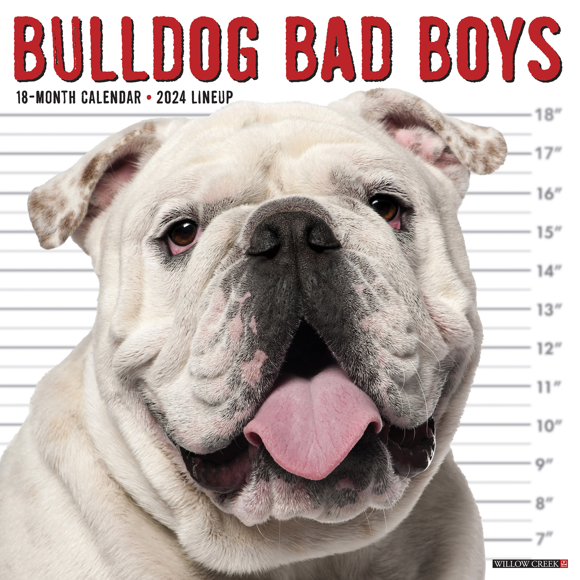 Willow Creek Bulldog Bad Boys 2024 Wall Calendar 12x12   3860436 Center 1