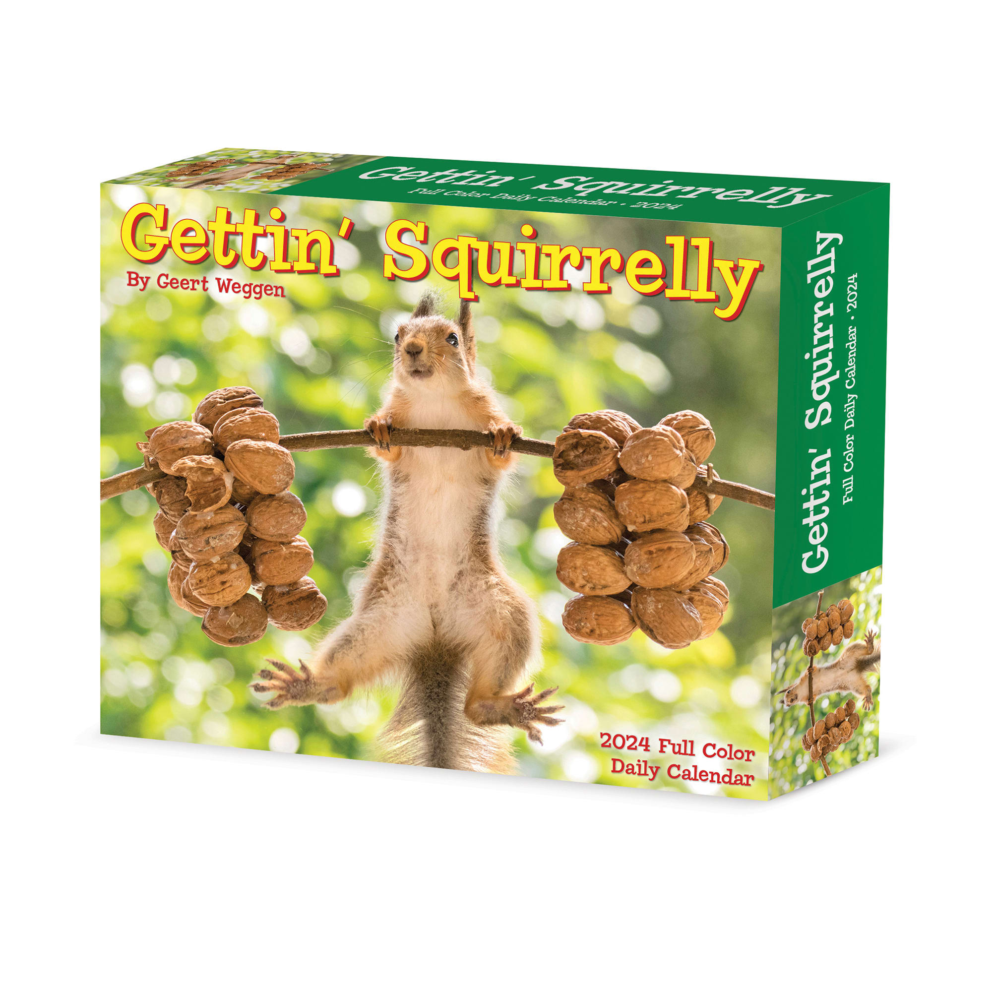 Willow Creek Press Gettin' Squirrelly 2024 Box Calendar, 6.2" L X 5.4