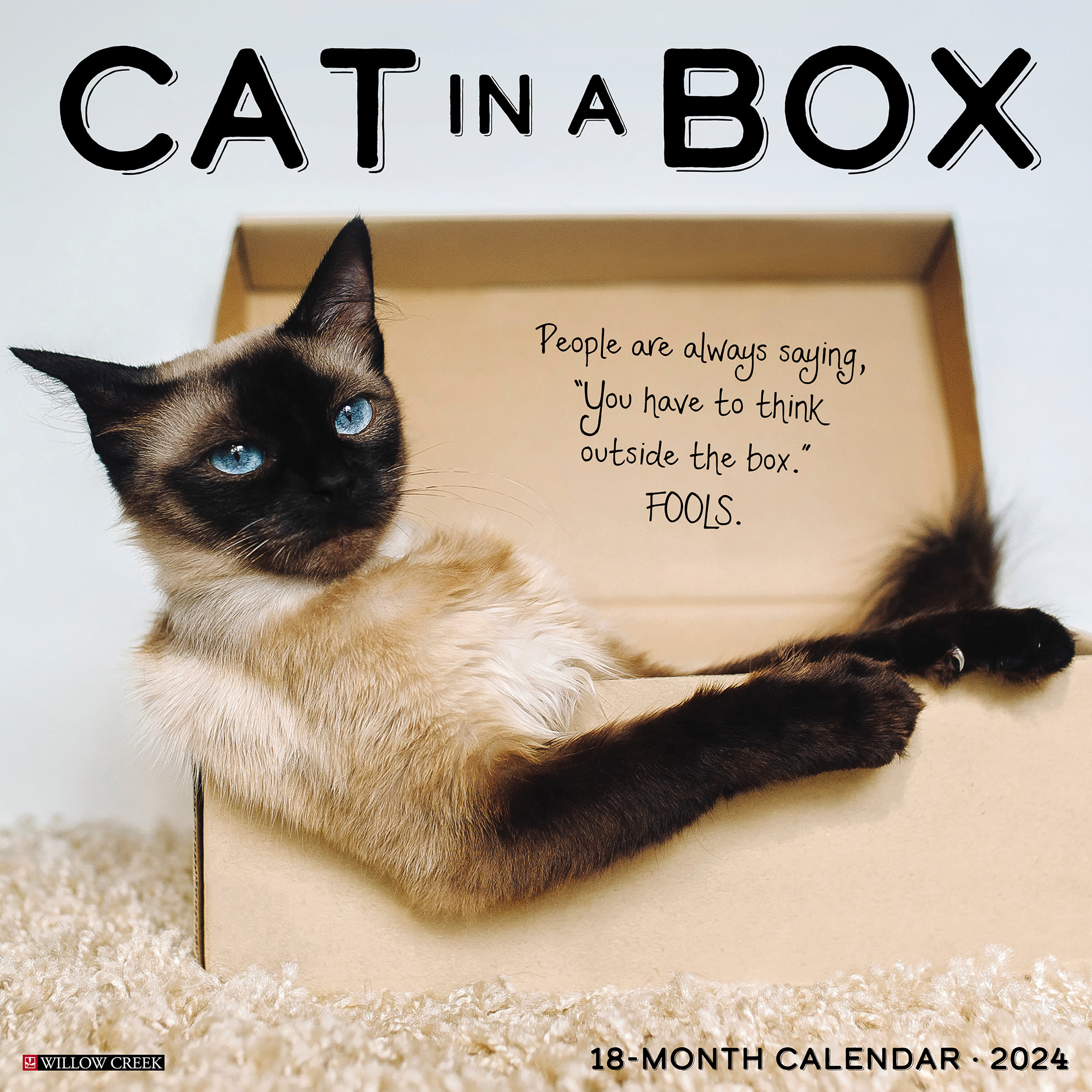 Willow Creek Press Cat in a Box 2024 Wall Calendar, 12" L X 12" W