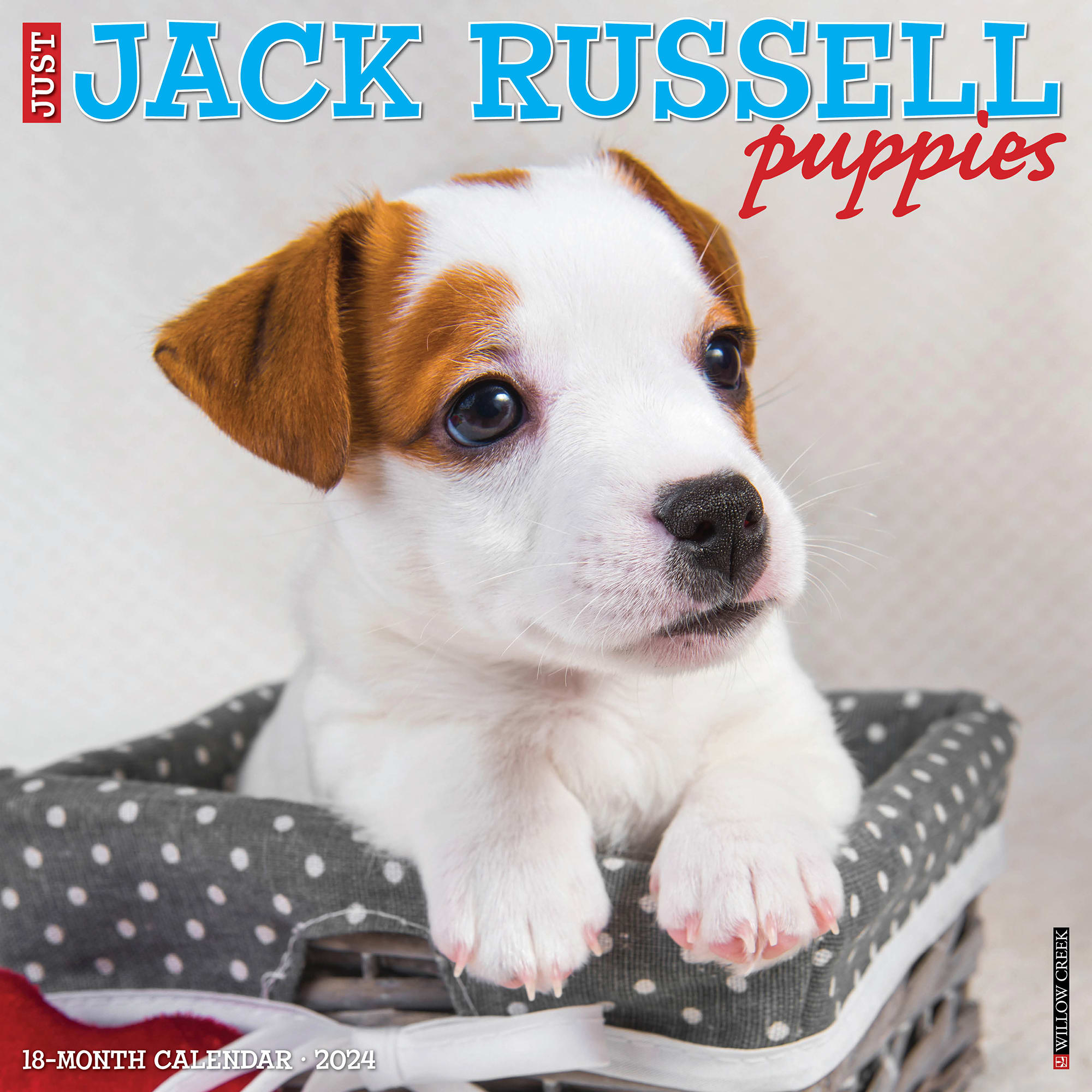 Willow Creek Press Just Jack Russell Puppies 2024 Wall Calendar, 12