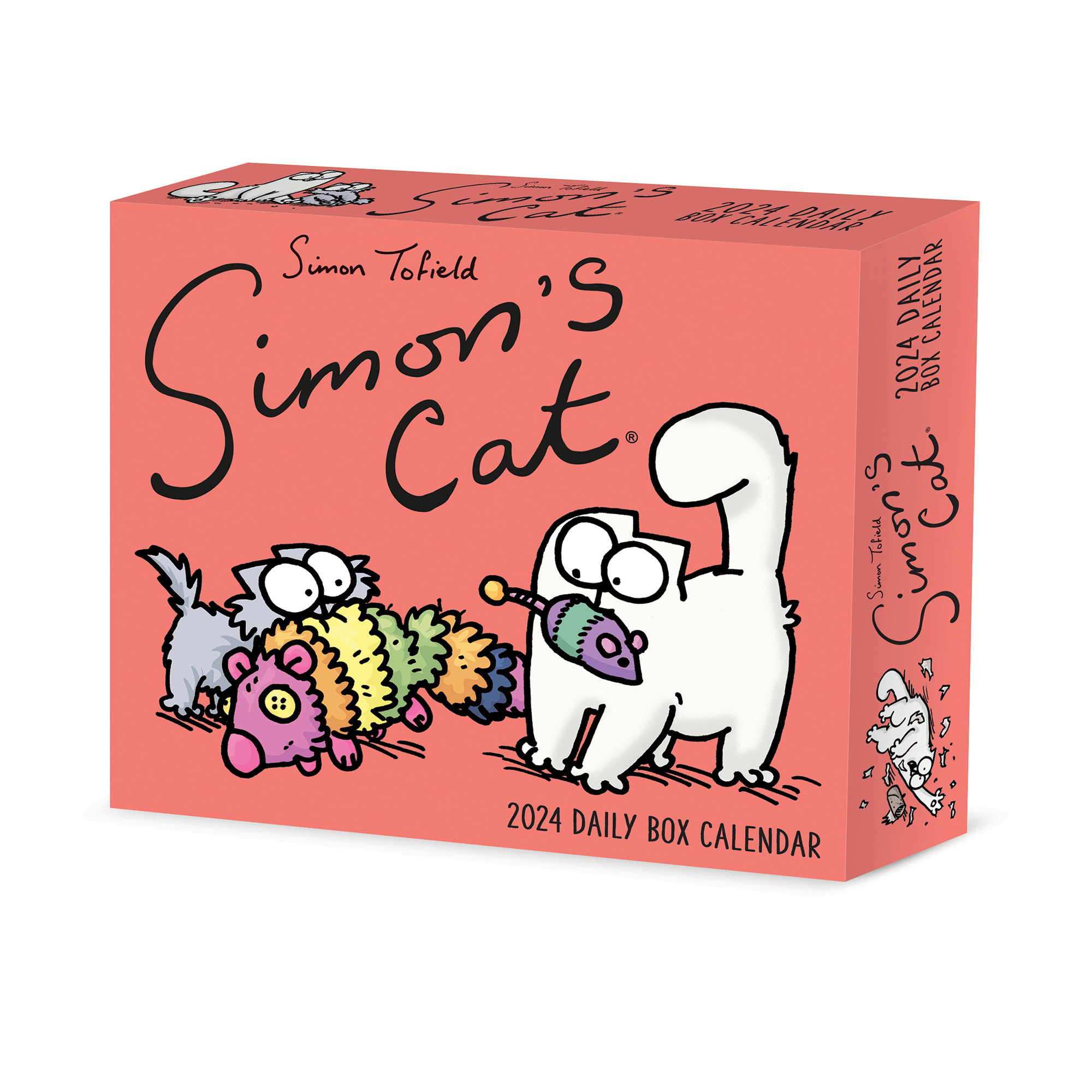 Simon's Cat 2024 Calendar Daily Fun & Adventures