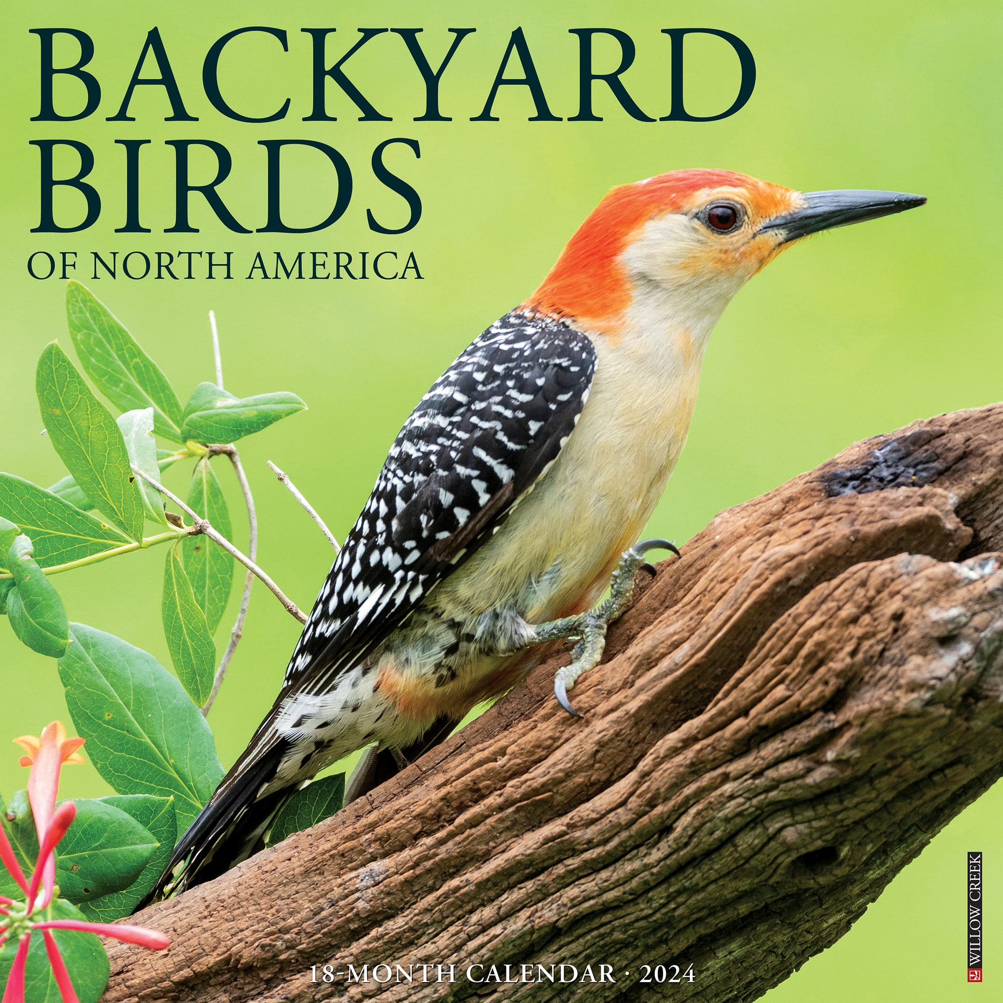 Willow Creek Press Backyard Birds 2024 Wall Calendar 12 L X 12 W   3860911 Center 1