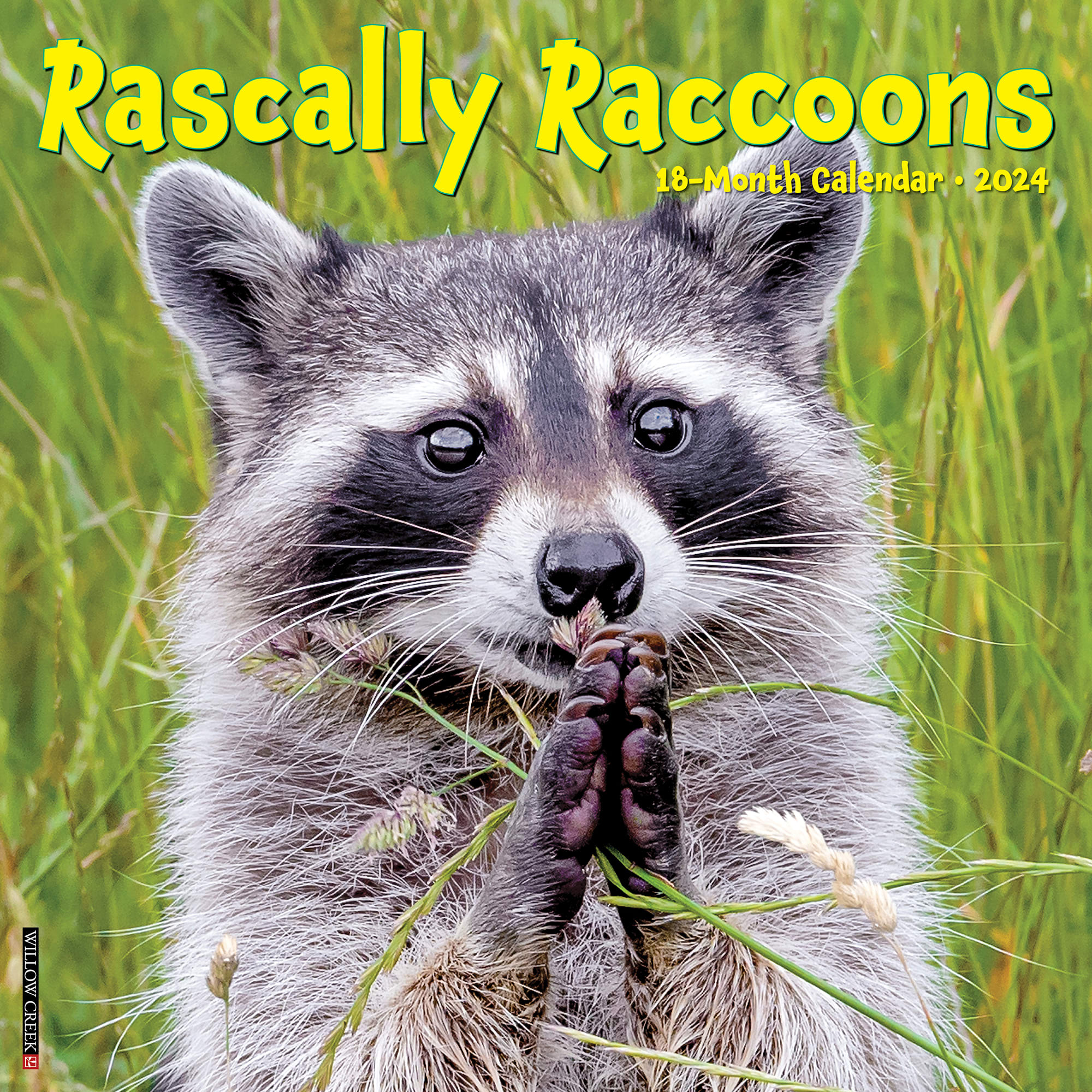 Willow Creek Press Rascally Raccoons 2024 Wall Calendar 12 L X 12 W   3860989 Center 1