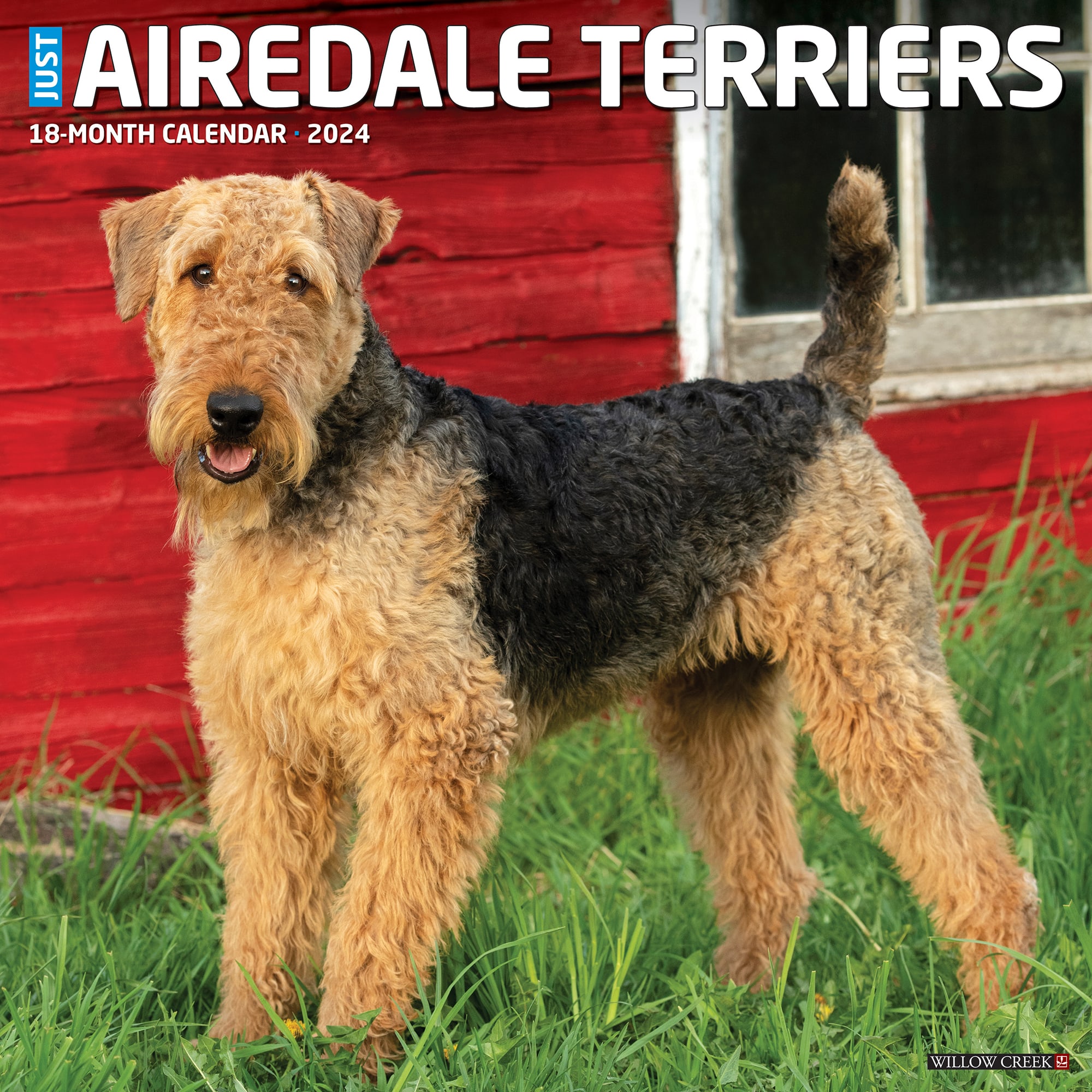 Willow Creek Press Just Airedale Terriers 2024 Wall Calendar, 12" L X