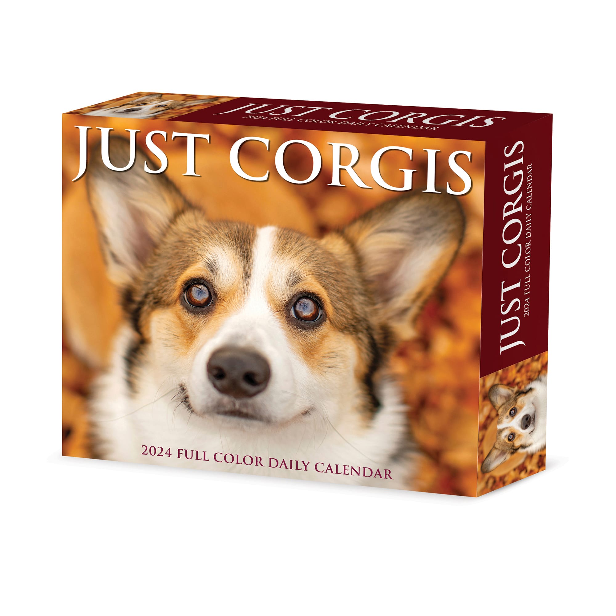 Welsh Corgi Box