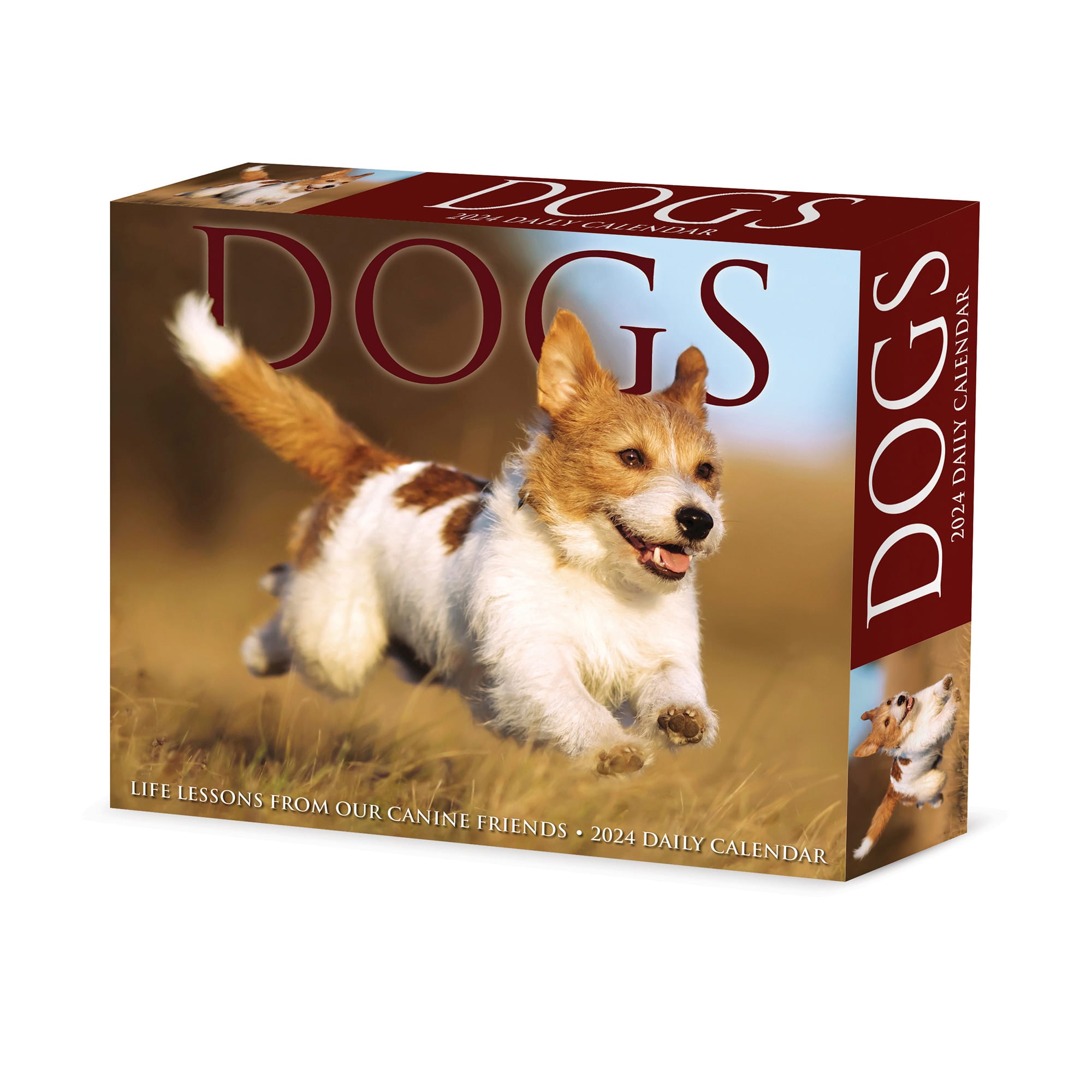 Willow Creek Press 2024 Dogs Box Calendar 6.2" x 5.4"